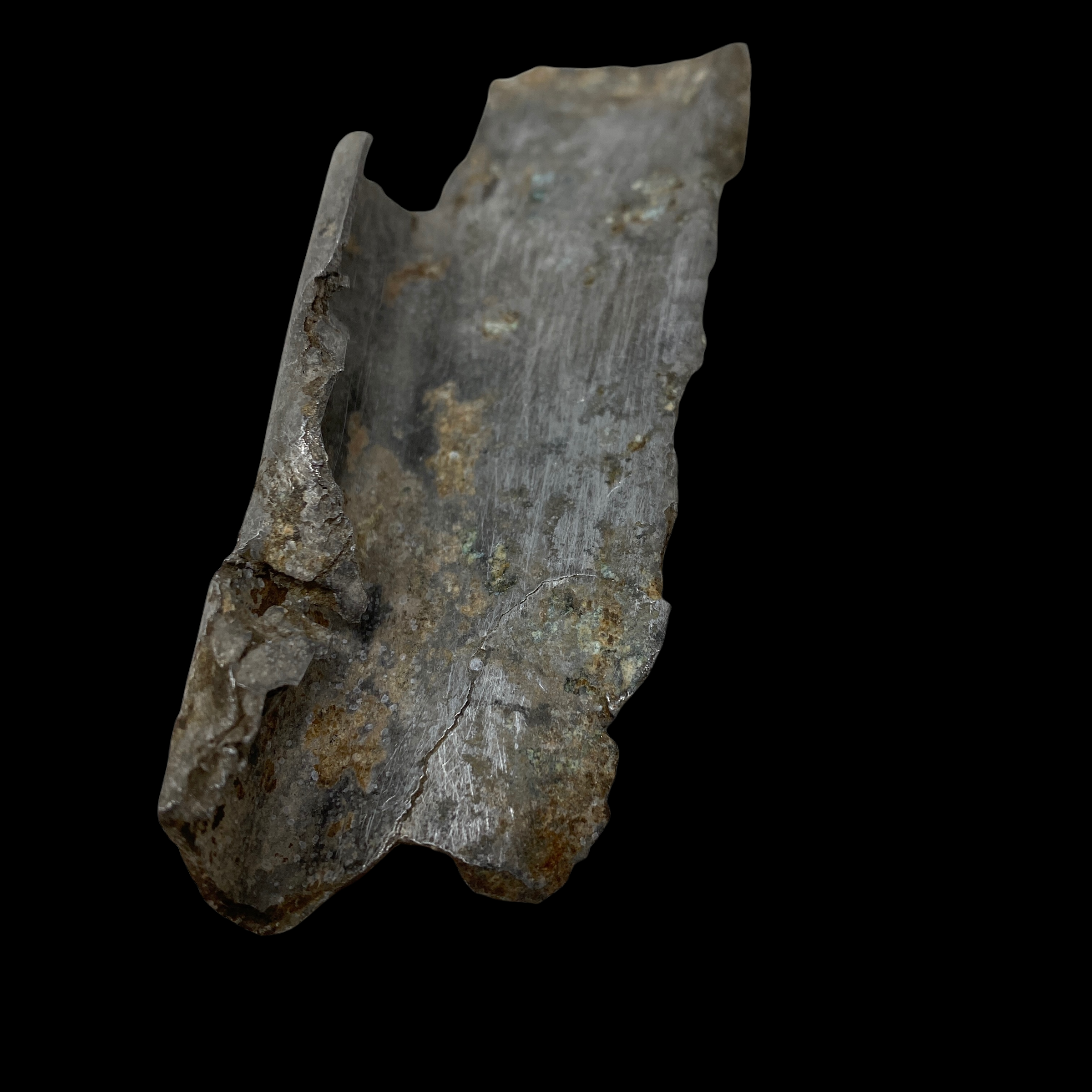 PhotoRoom_20220111_172457 2.PNG