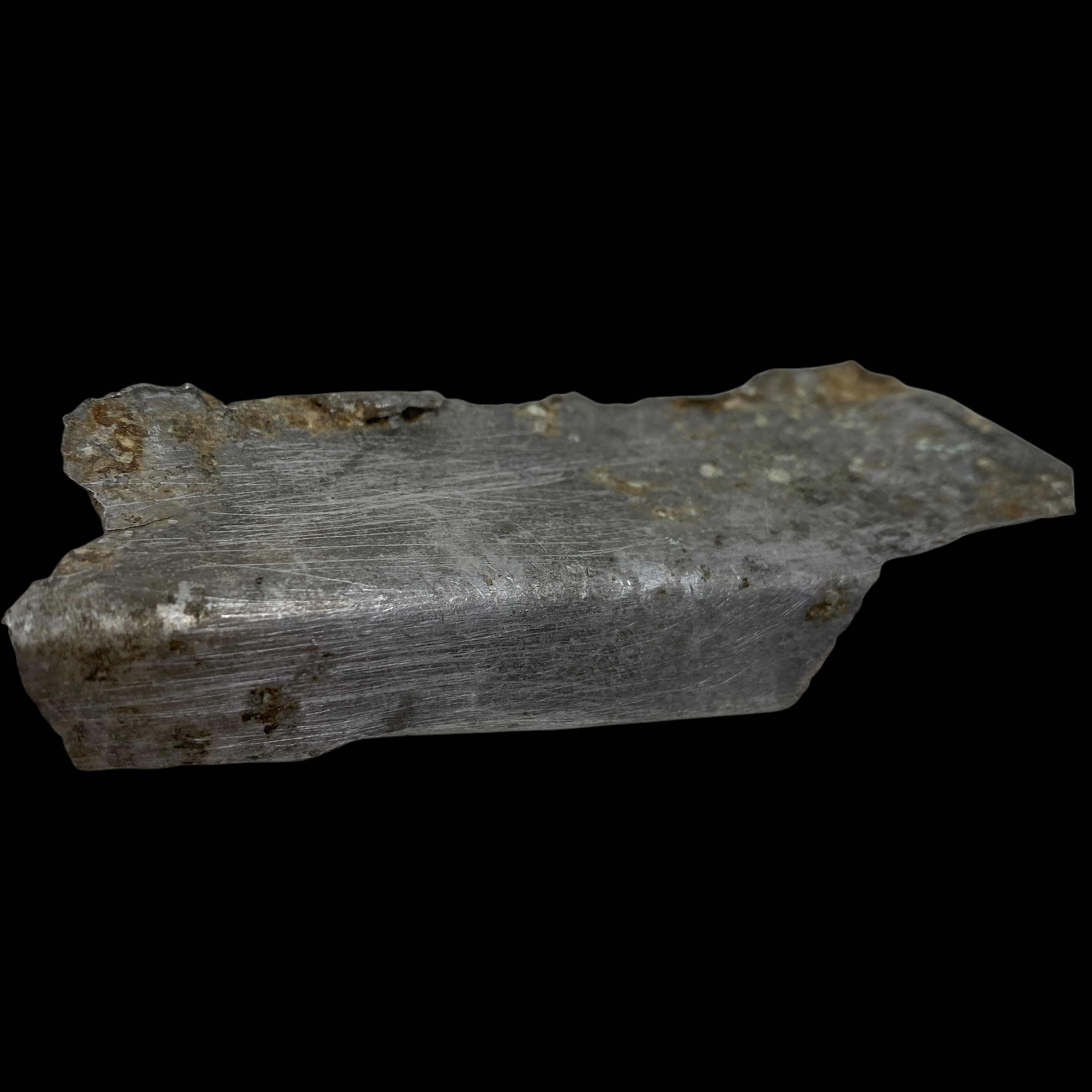 PhotoRoom_20220111_172458 2.PNG