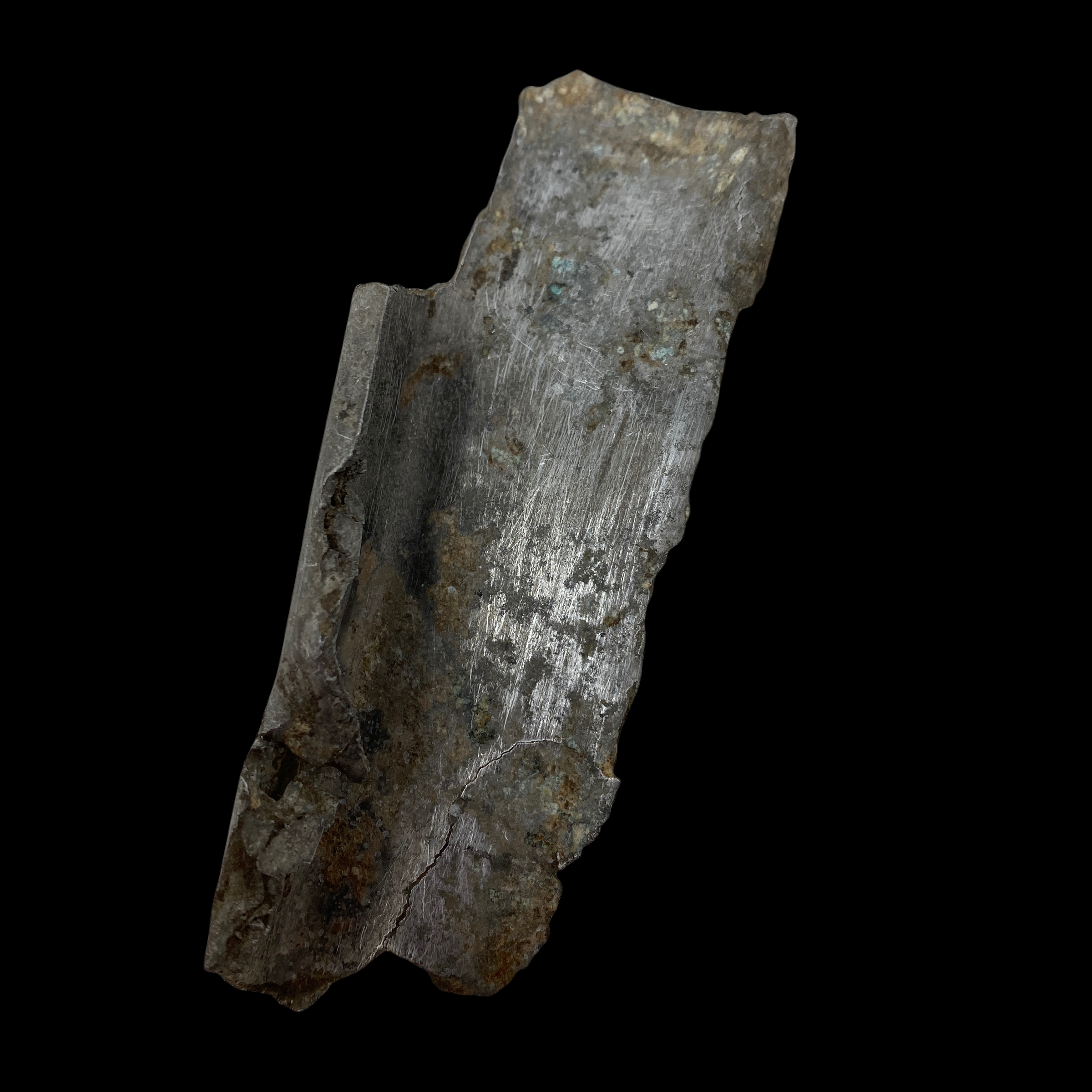 PhotoRoom_20220111_172457.PNG