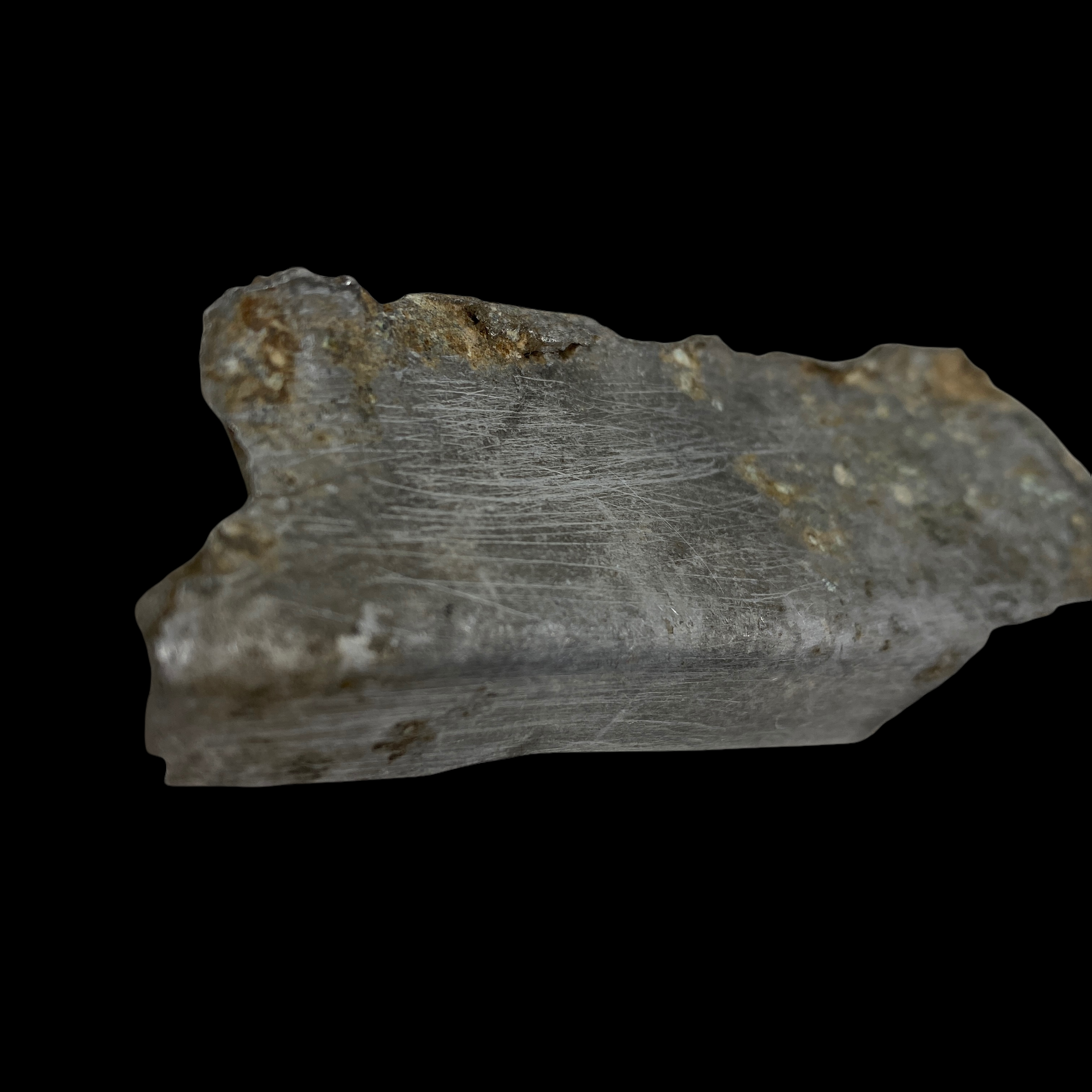 PhotoRoom_20220111_172458 3.PNG