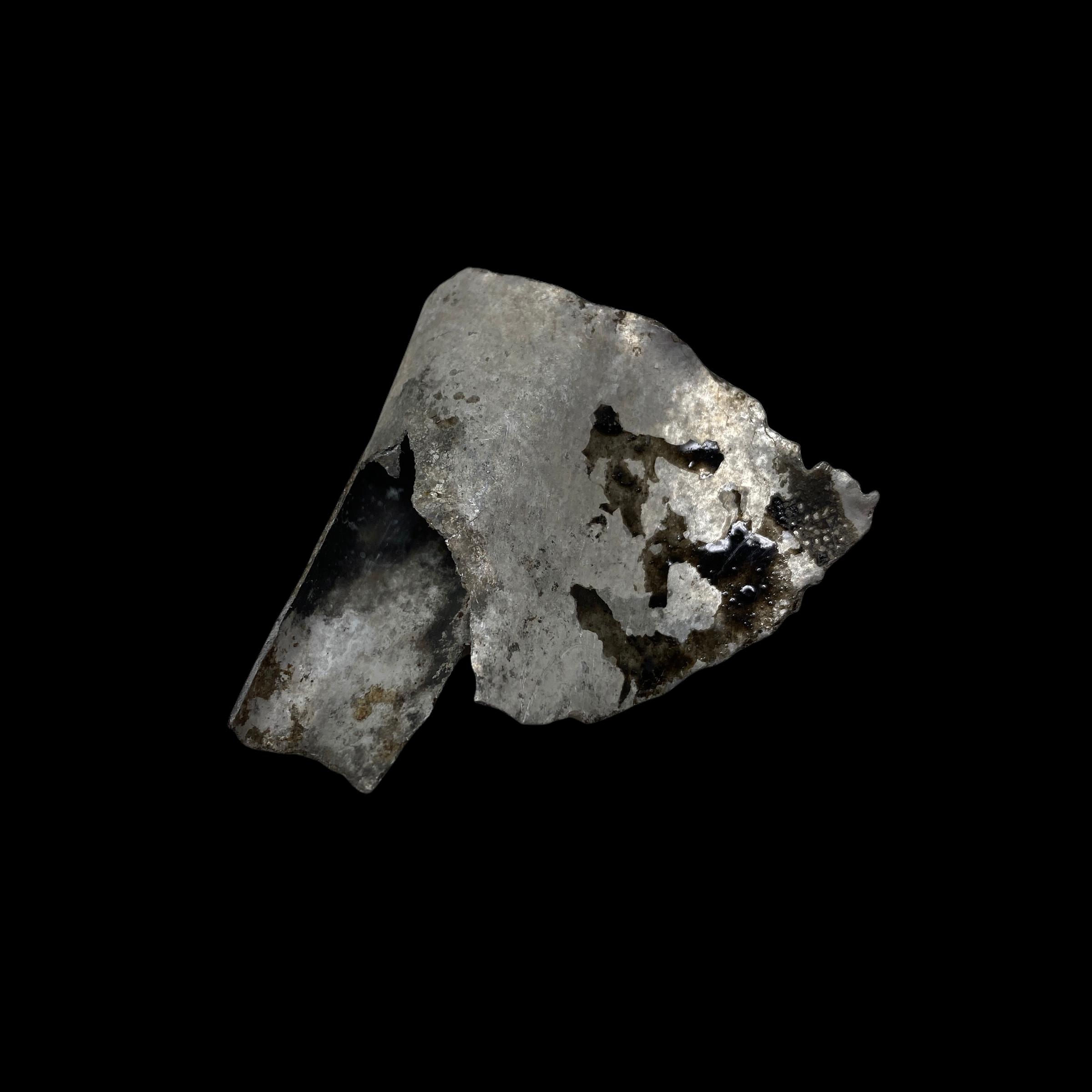 PhotoRoom_20220111_172520.PNG