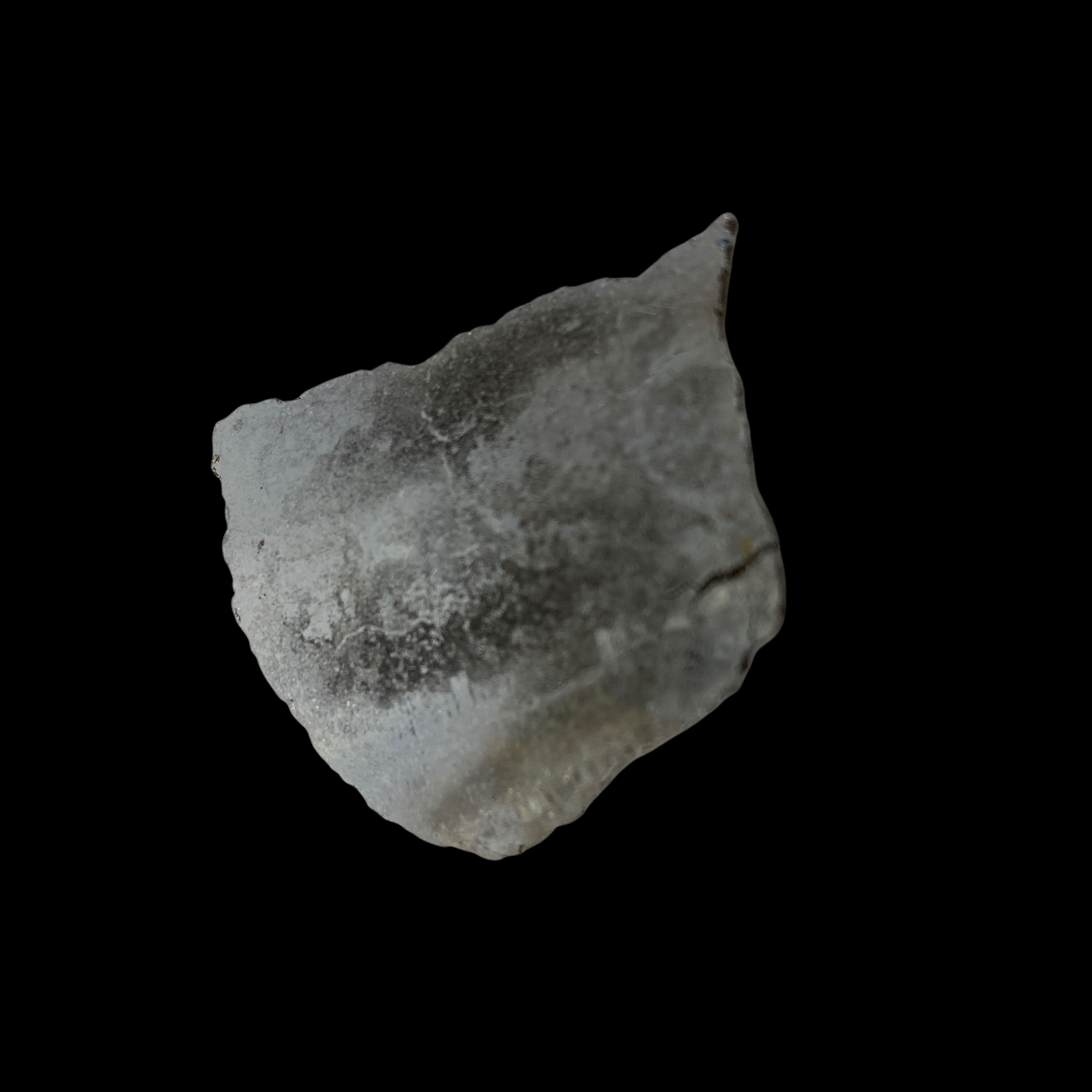 PhotoRoom_20220111_173040 2.PNG