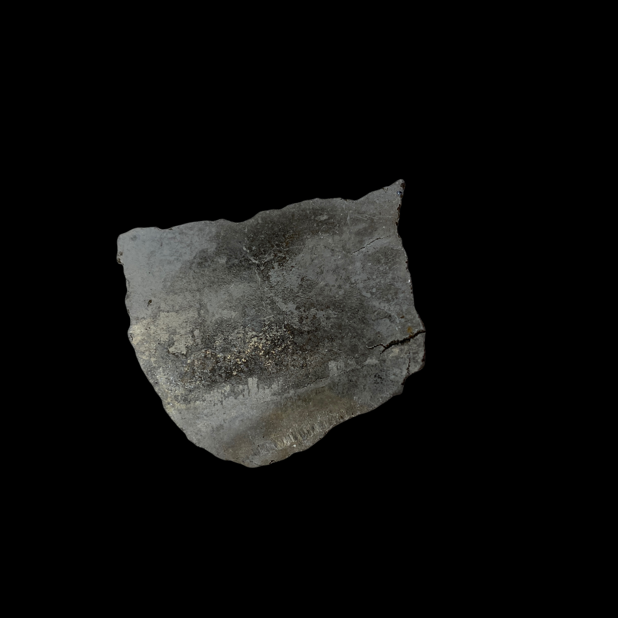 PhotoRoom_20220111_173040.PNG