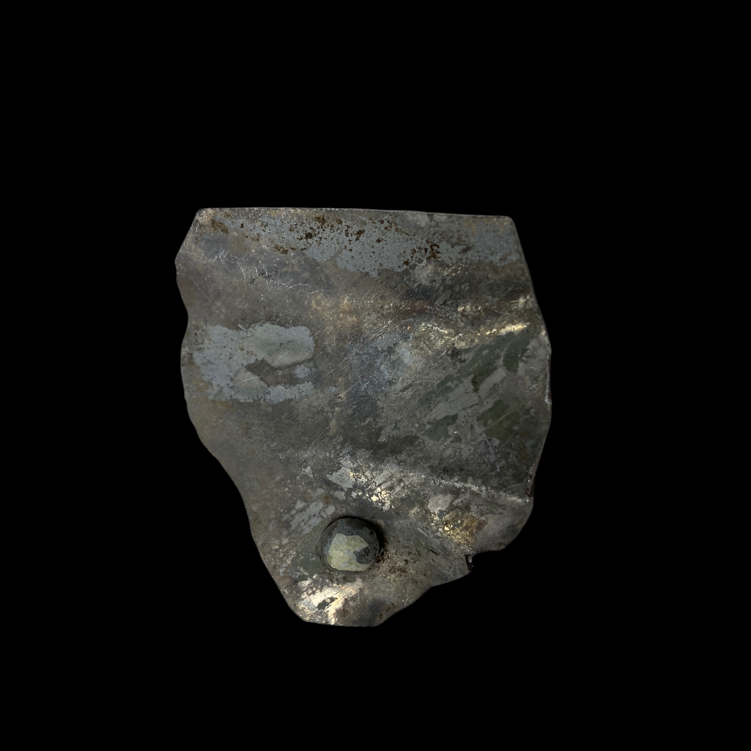 PhotoRoom_20220111_173042 3.PNG