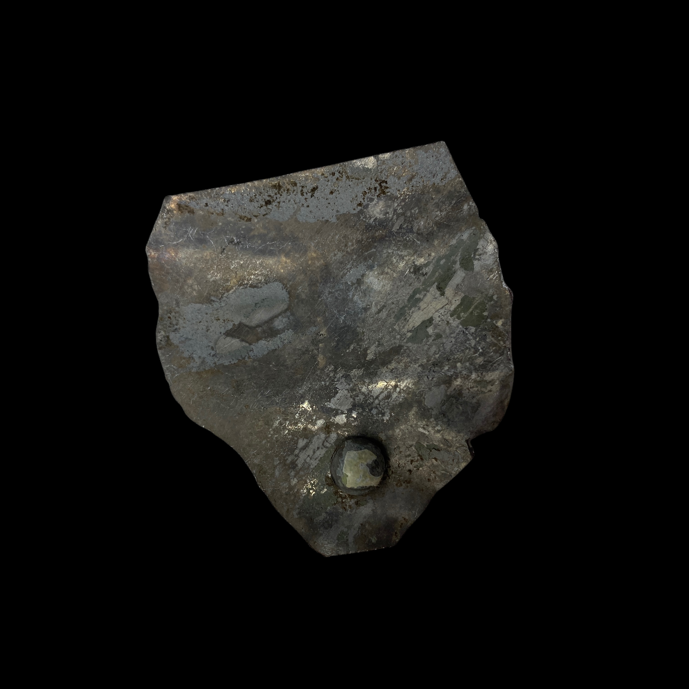 PhotoRoom_20220111_173042 2.PNG