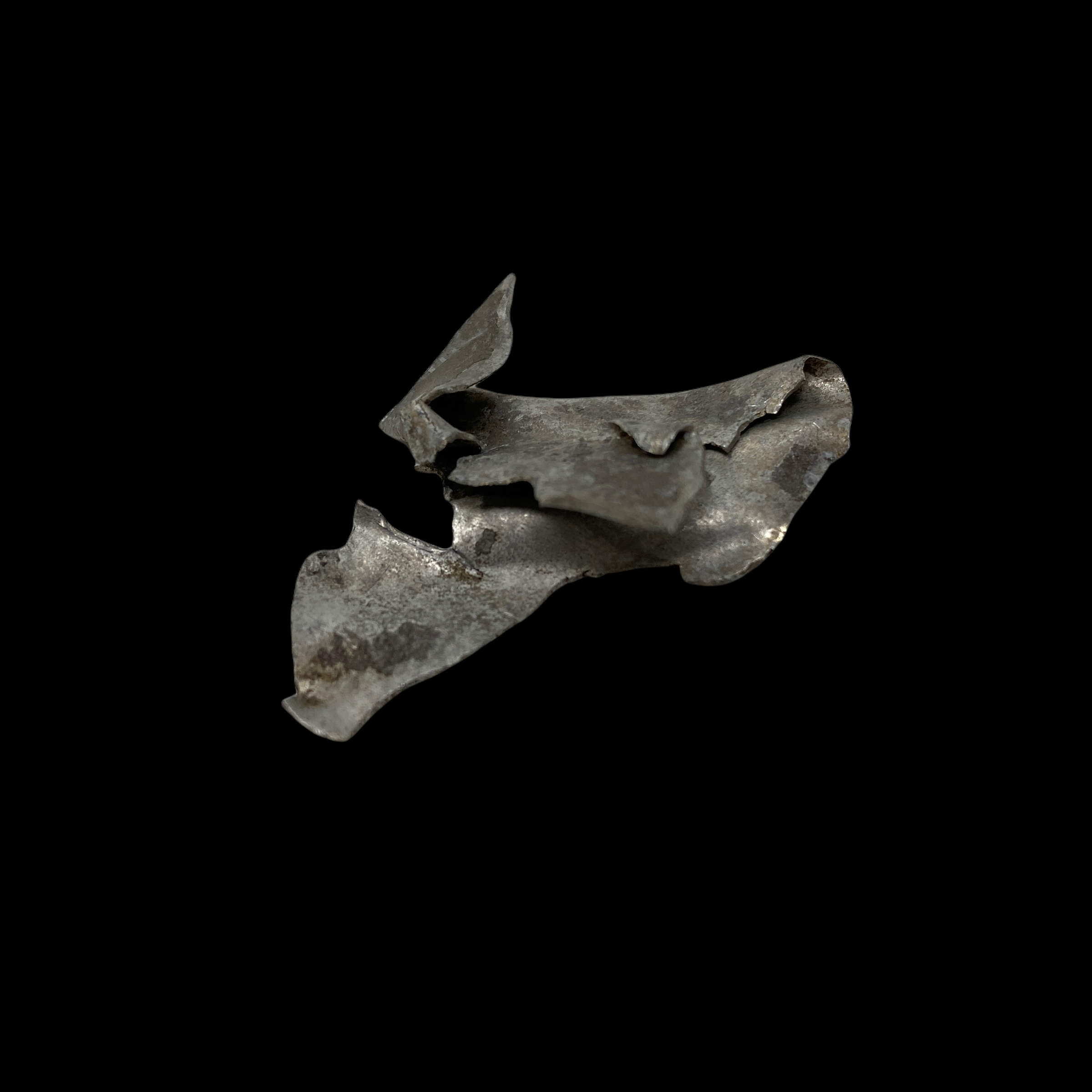 PhotoRoom_20220111_173045 2.PNG