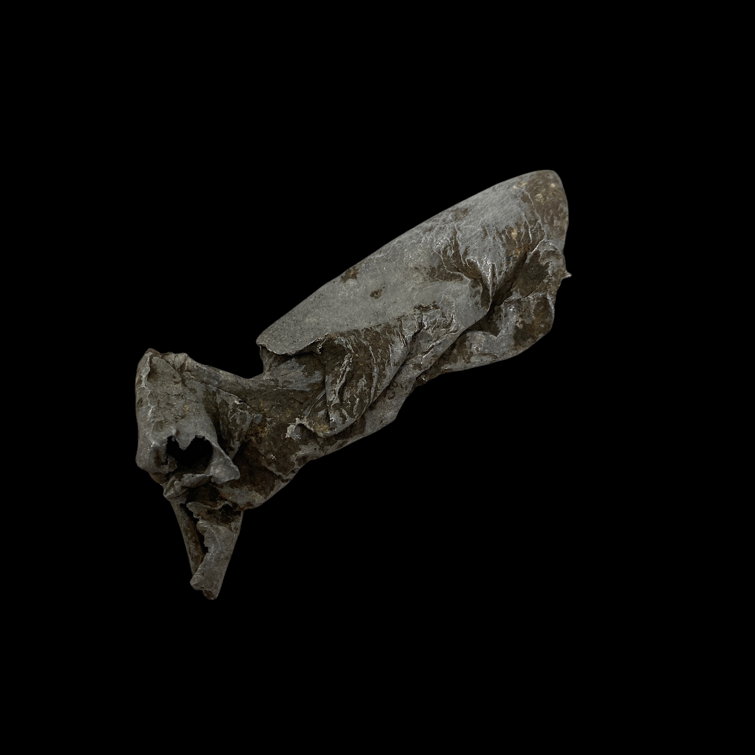 PhotoRoom_20220111_173714.PNG