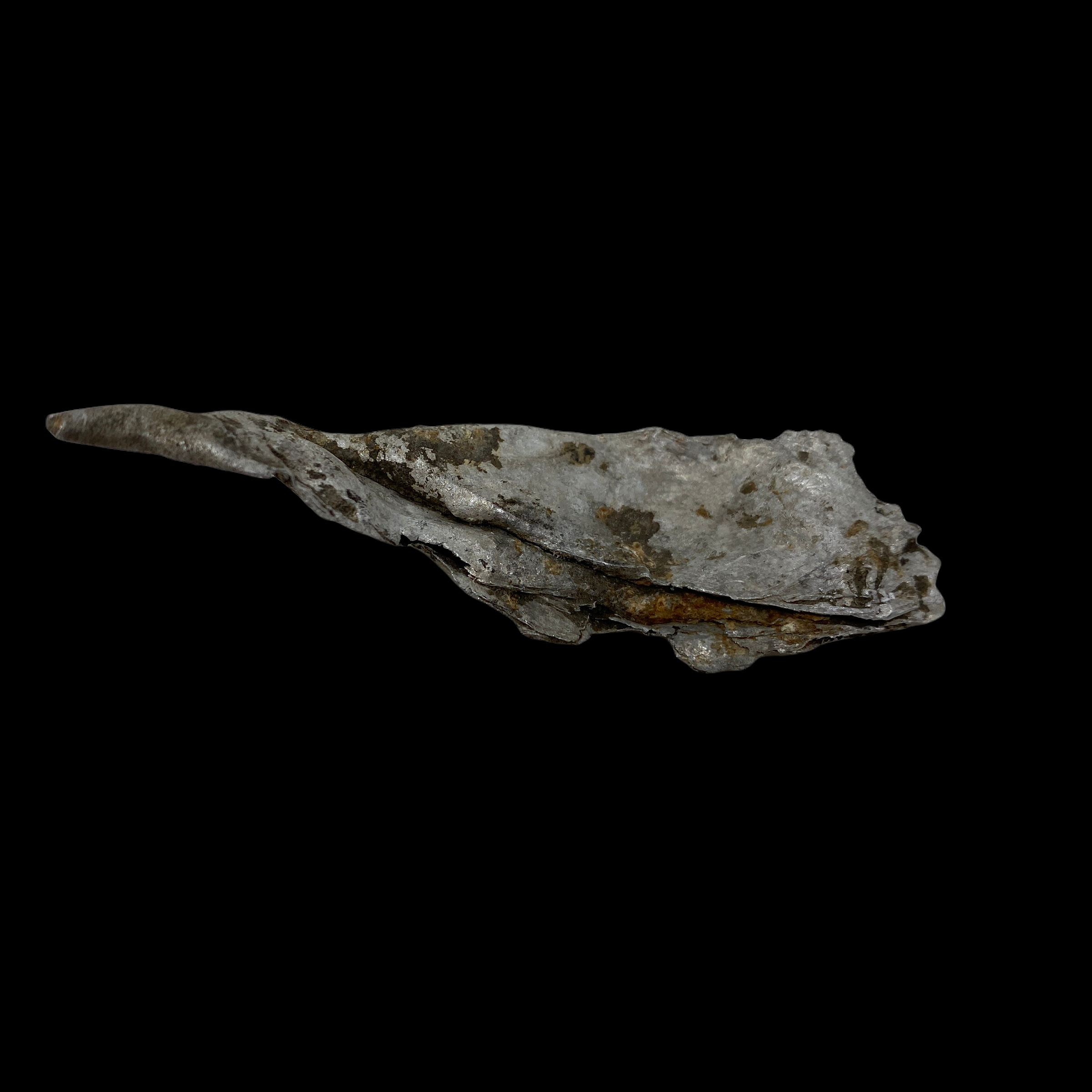 PhotoRoom_20220111_174757.PNG