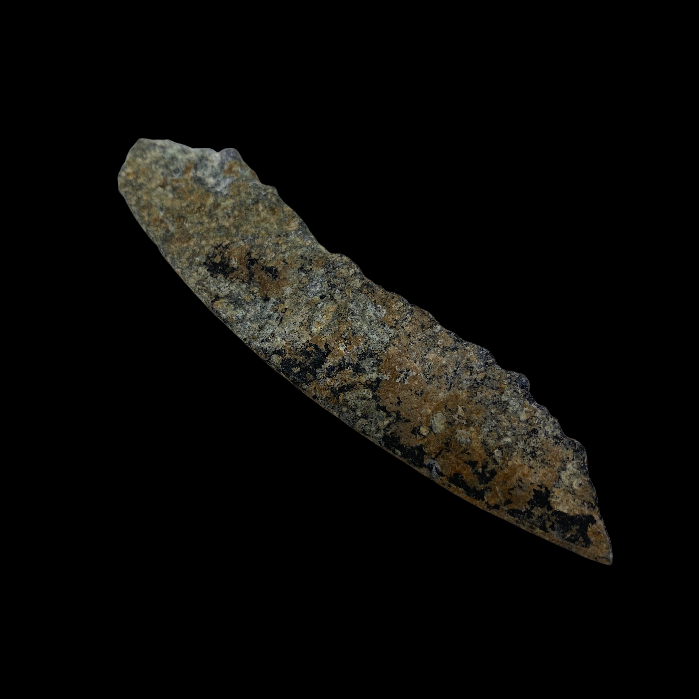 PhotoRoom_20220111_174814.PNG