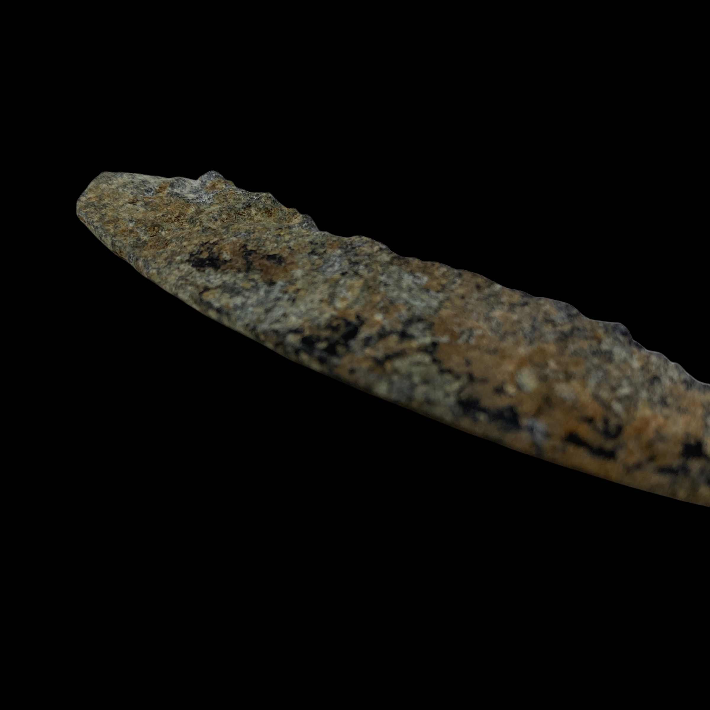 PhotoRoom_20220111_174816.PNG