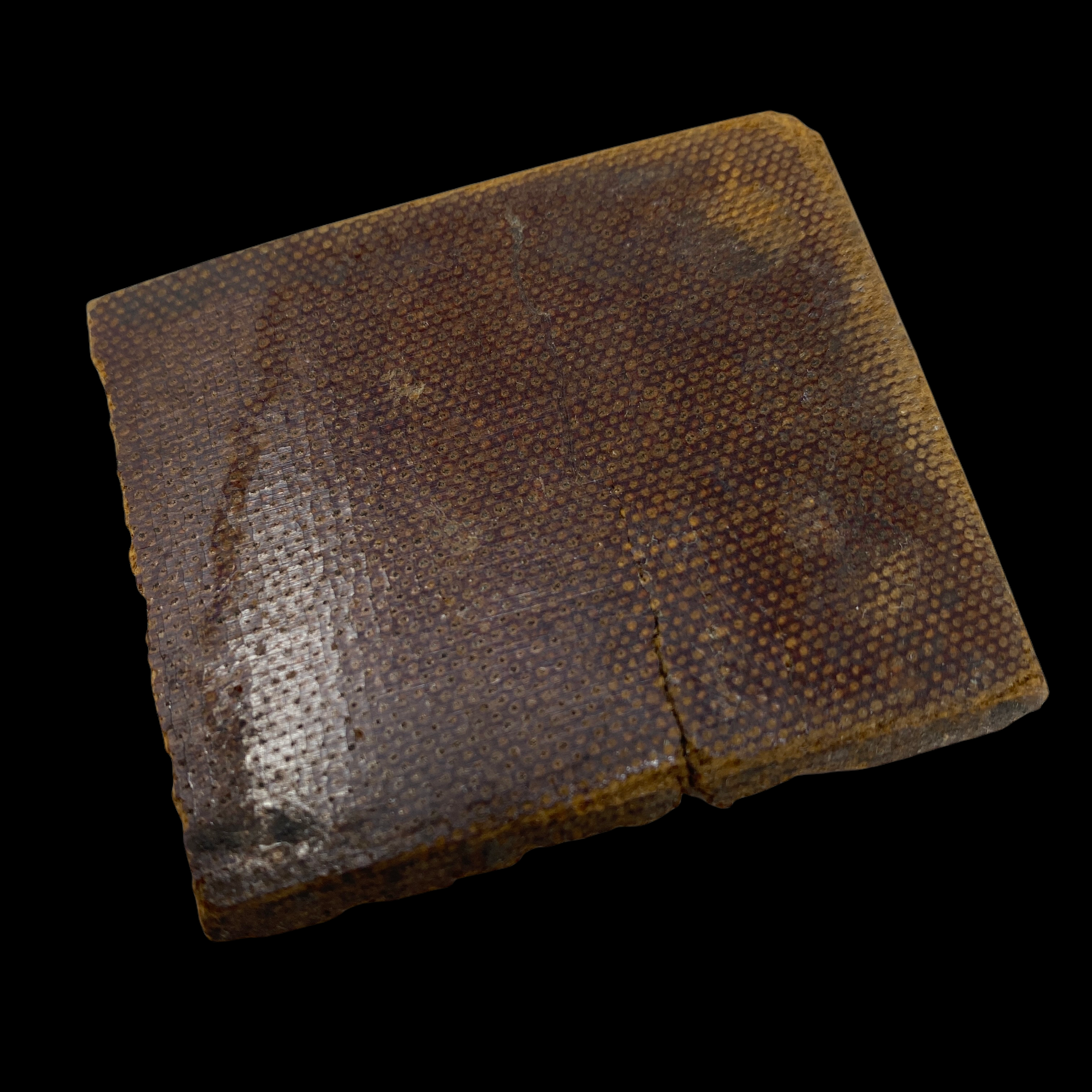 PhotoRoom_20220111_174839.PNG