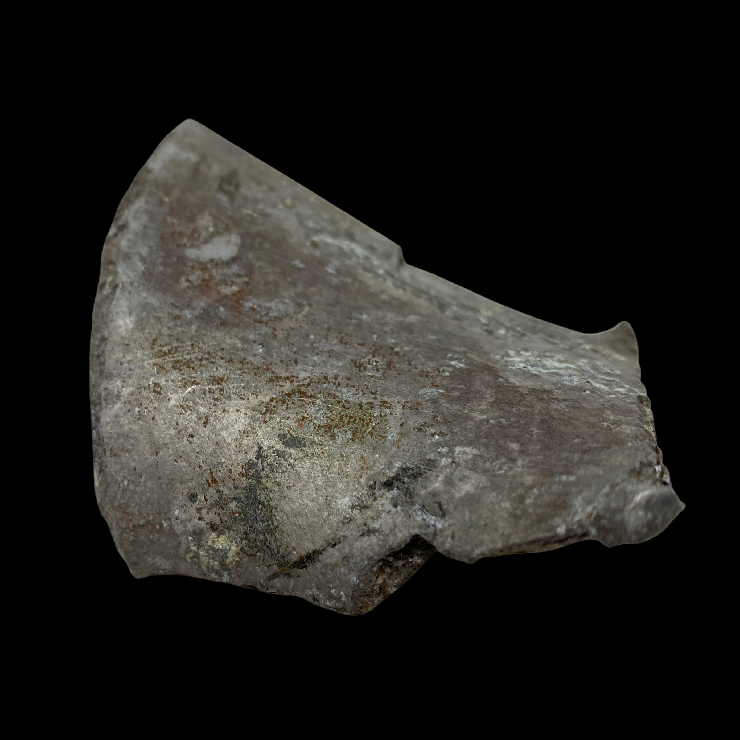 PhotoRoom_20220111_175616.PNG