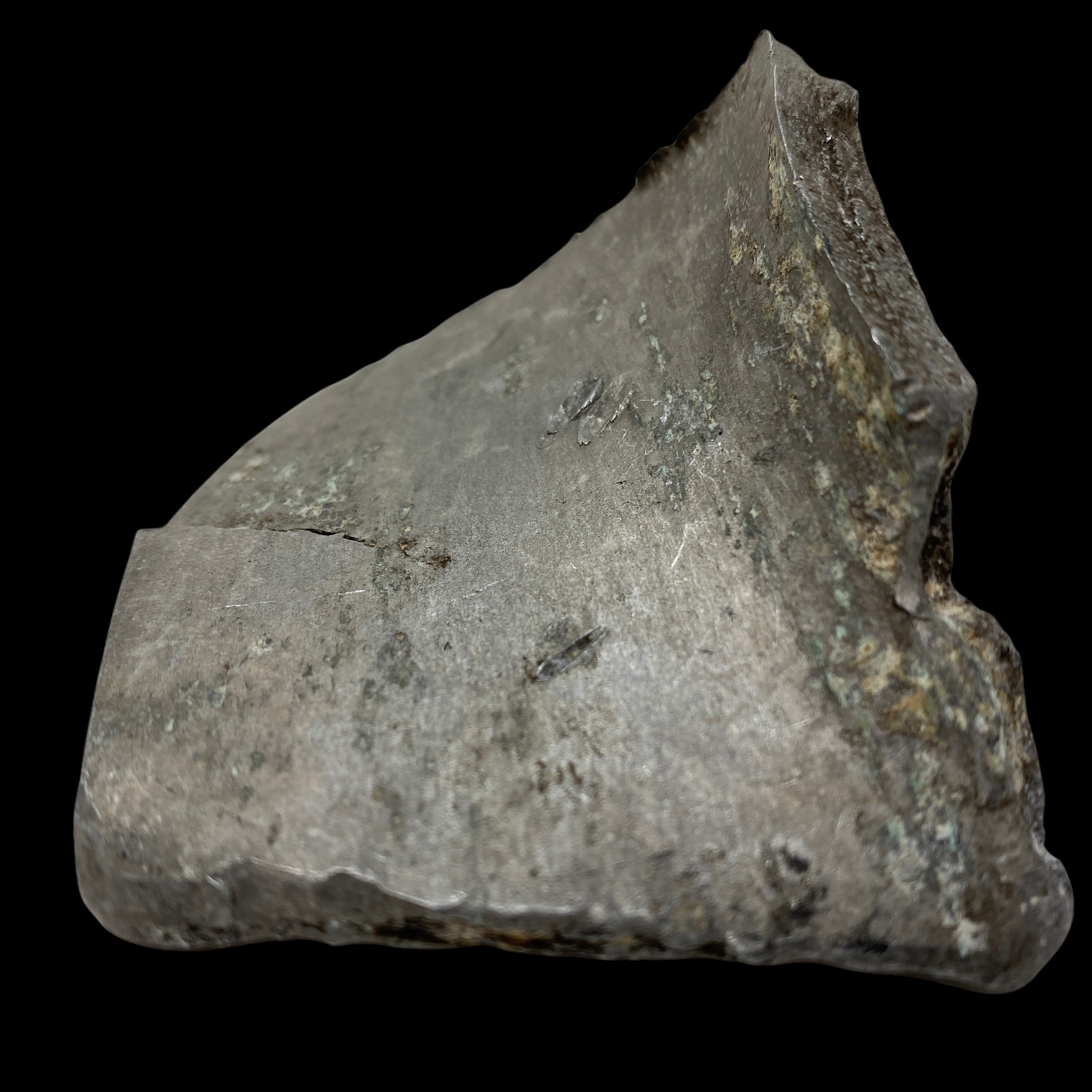 PhotoRoom_20220111_175626.PNG