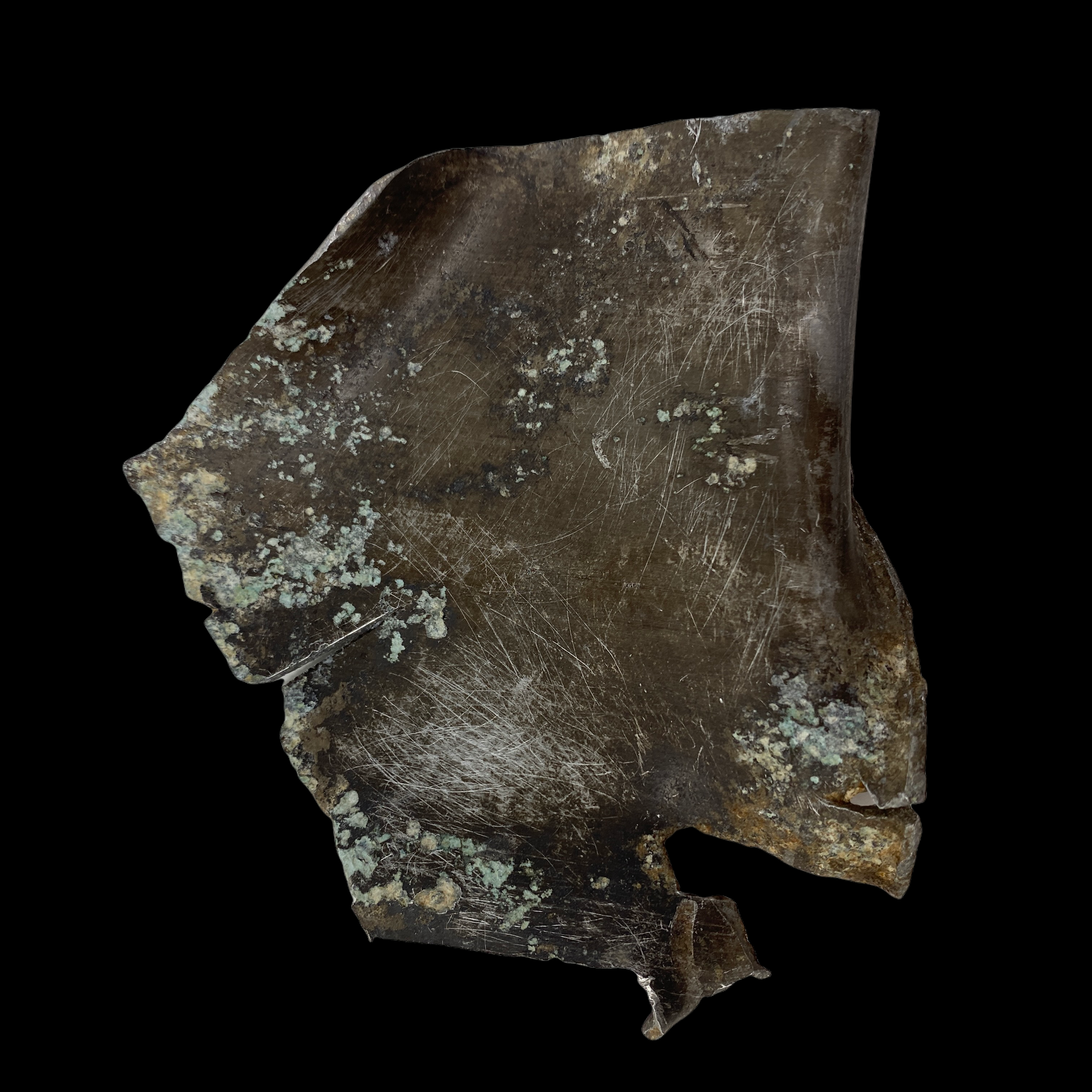 PhotoRoom_20220111_175629.PNG