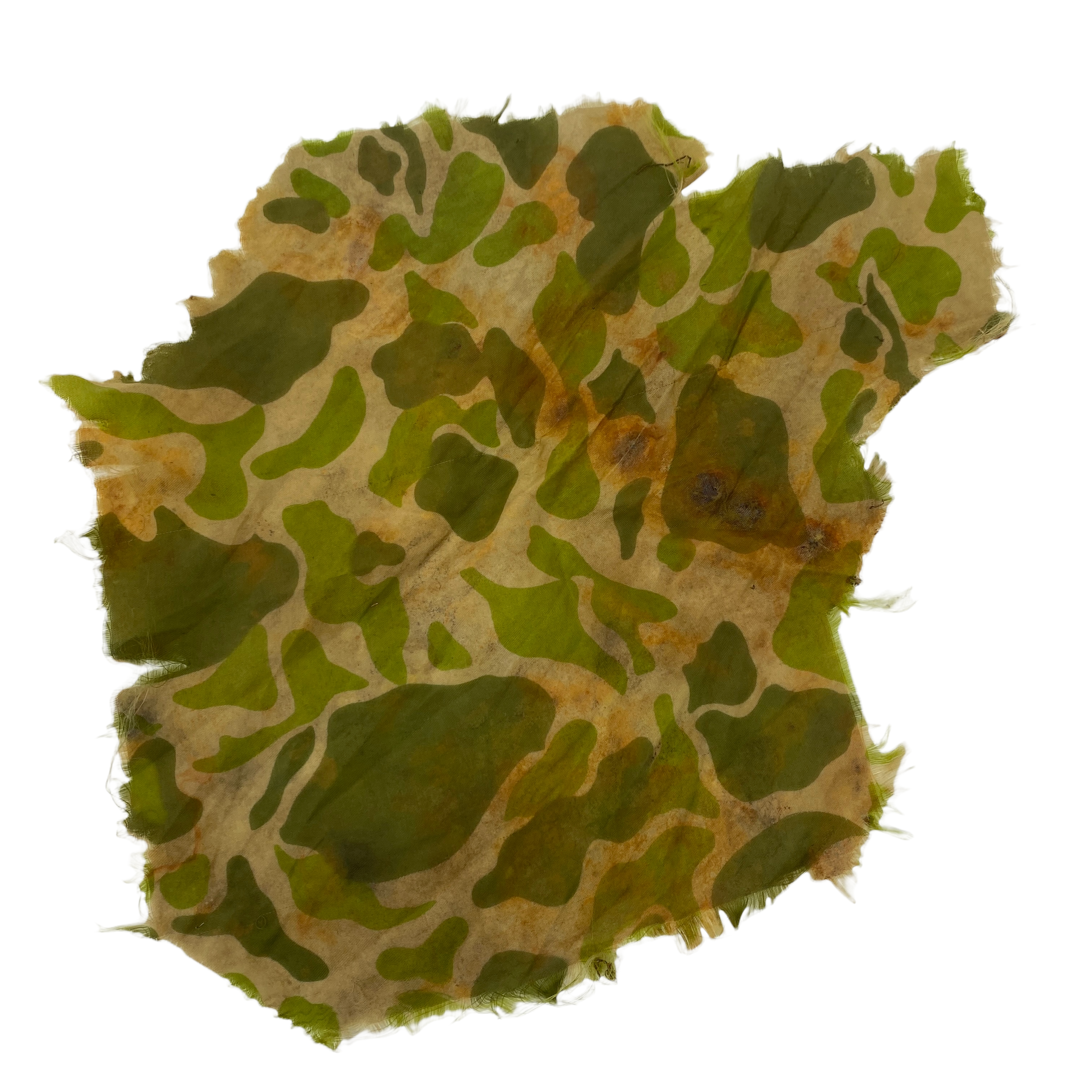 PhotoRoom_20220113_175419.PNG