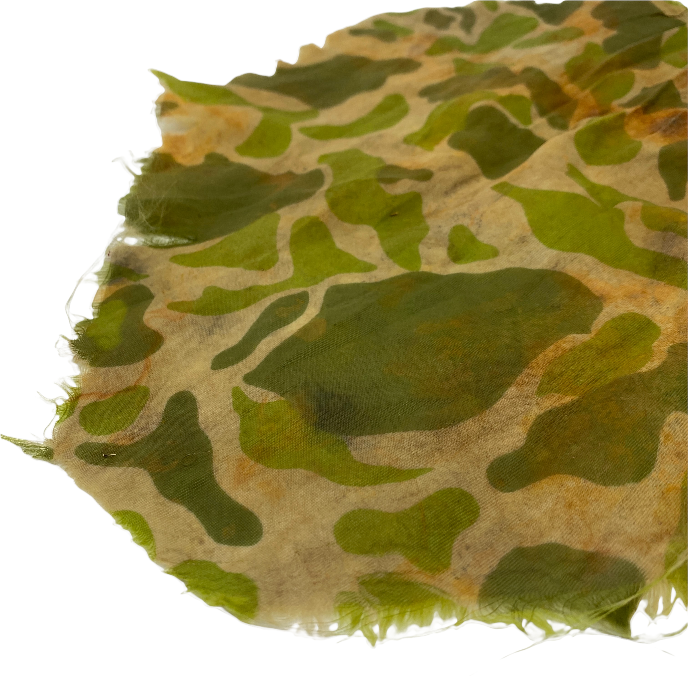 PhotoRoom_20220113_175419 2.PNG