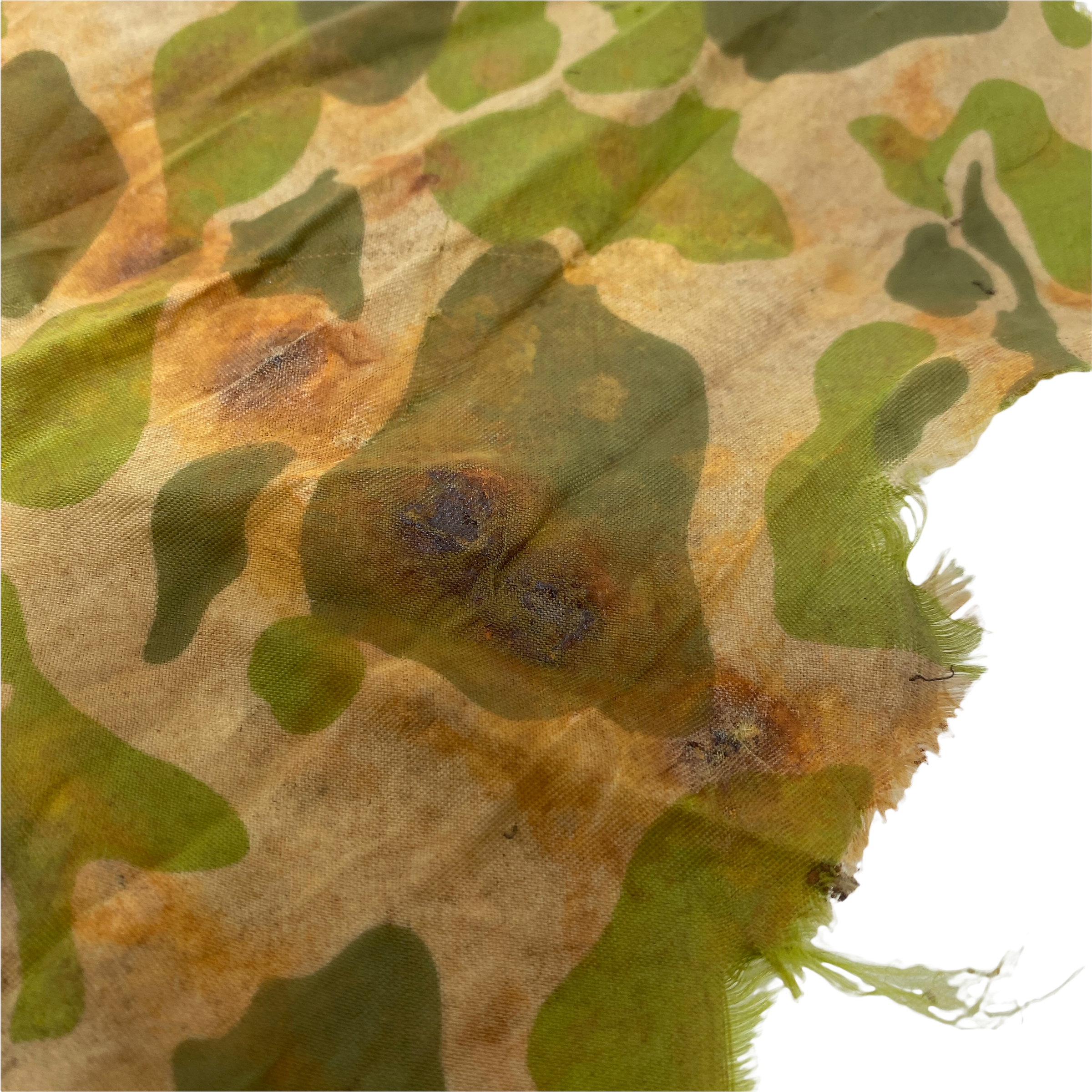 PhotoRoom_20220113_175420 2.PNG