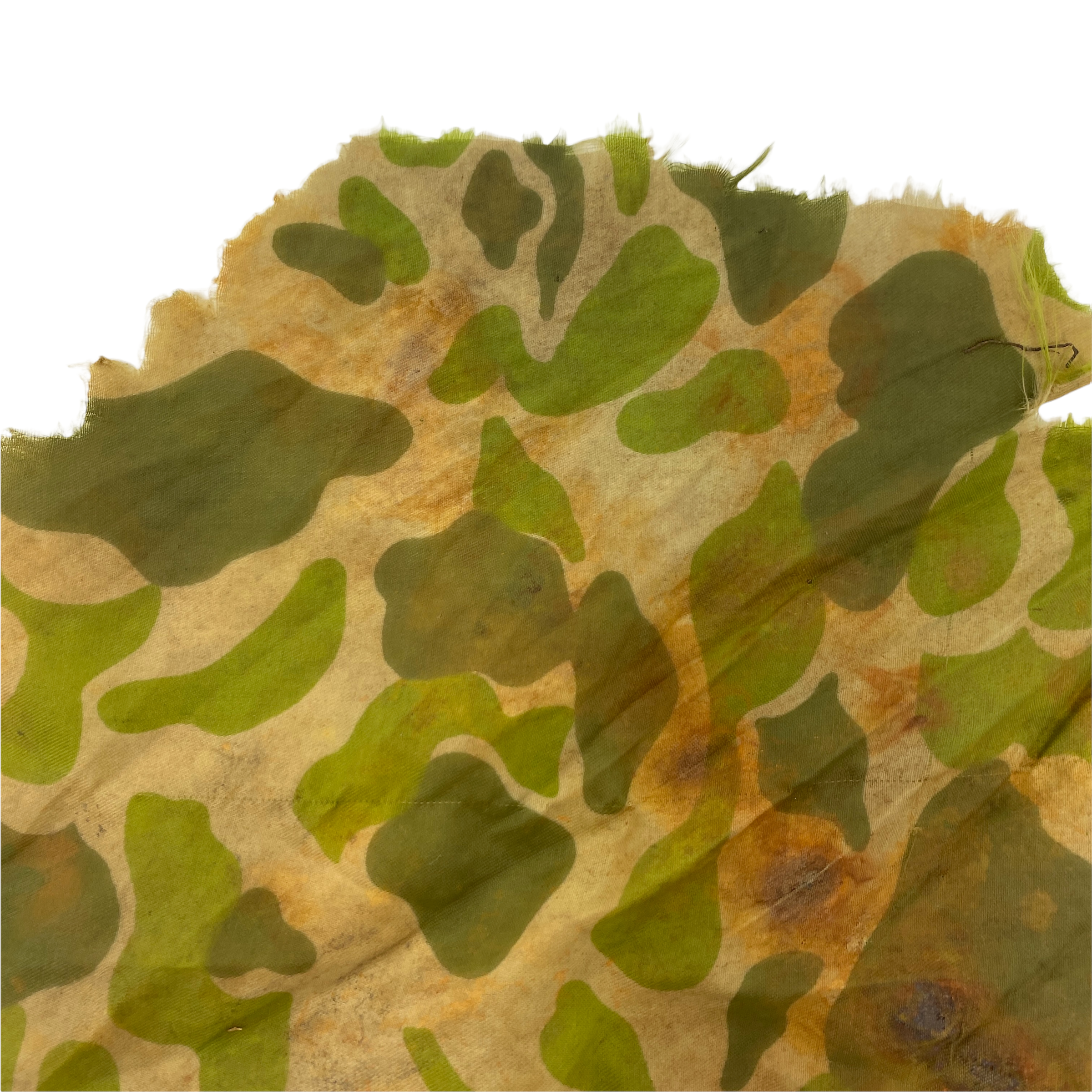 PhotoRoom_20220113_175421 2.PNG