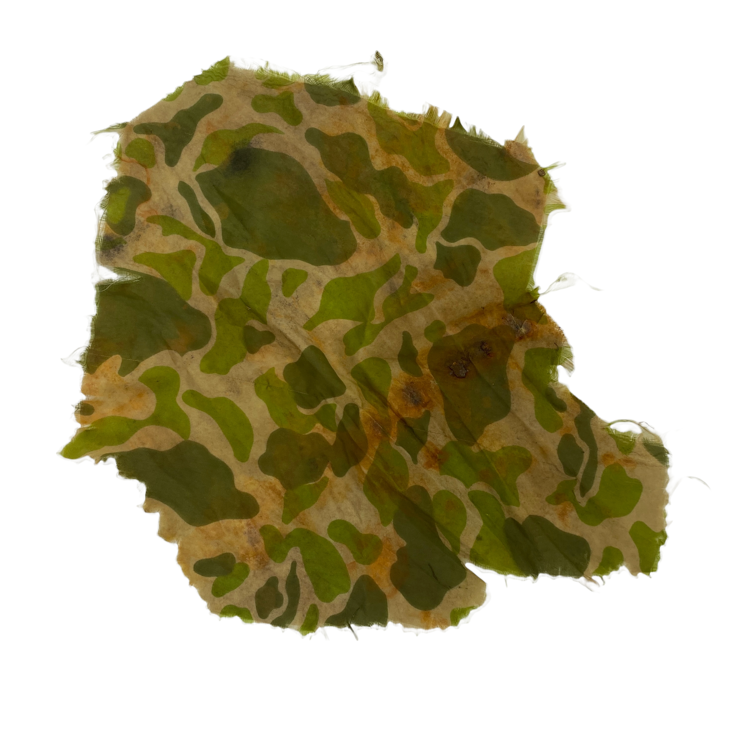 PhotoRoom_20220113_175422 2.PNG