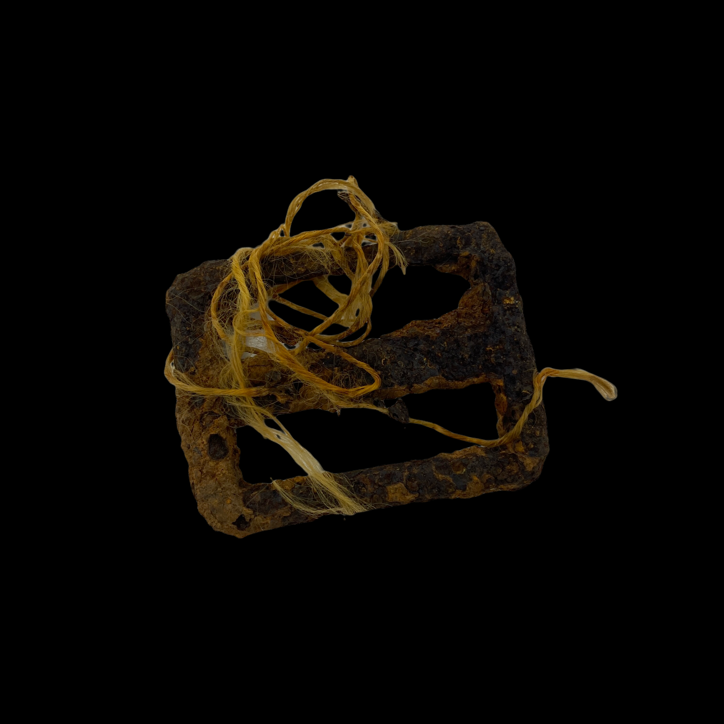 PhotoRoom_20220113_193758 2.PNG