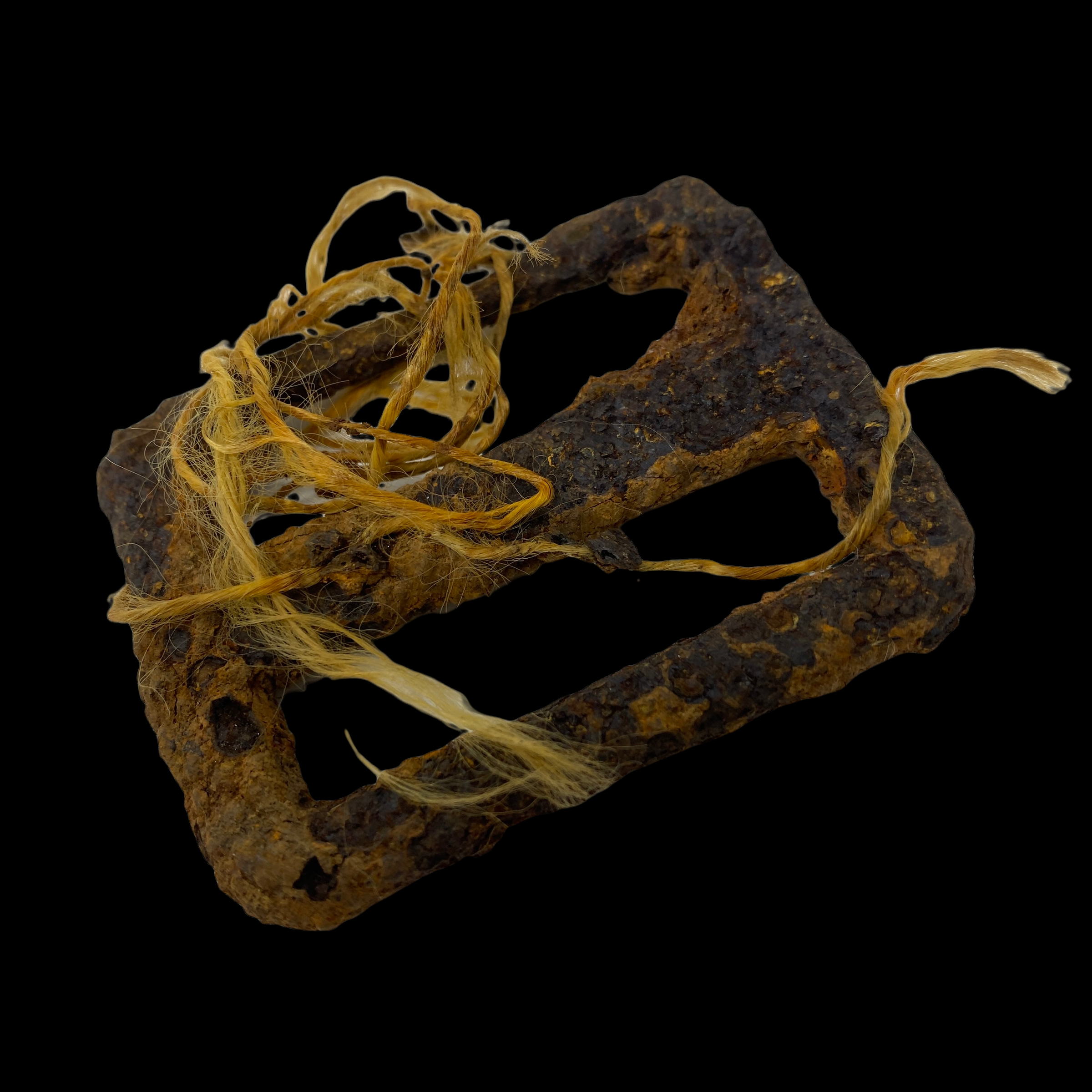 PhotoRoom_20220113_193800 2.PNG