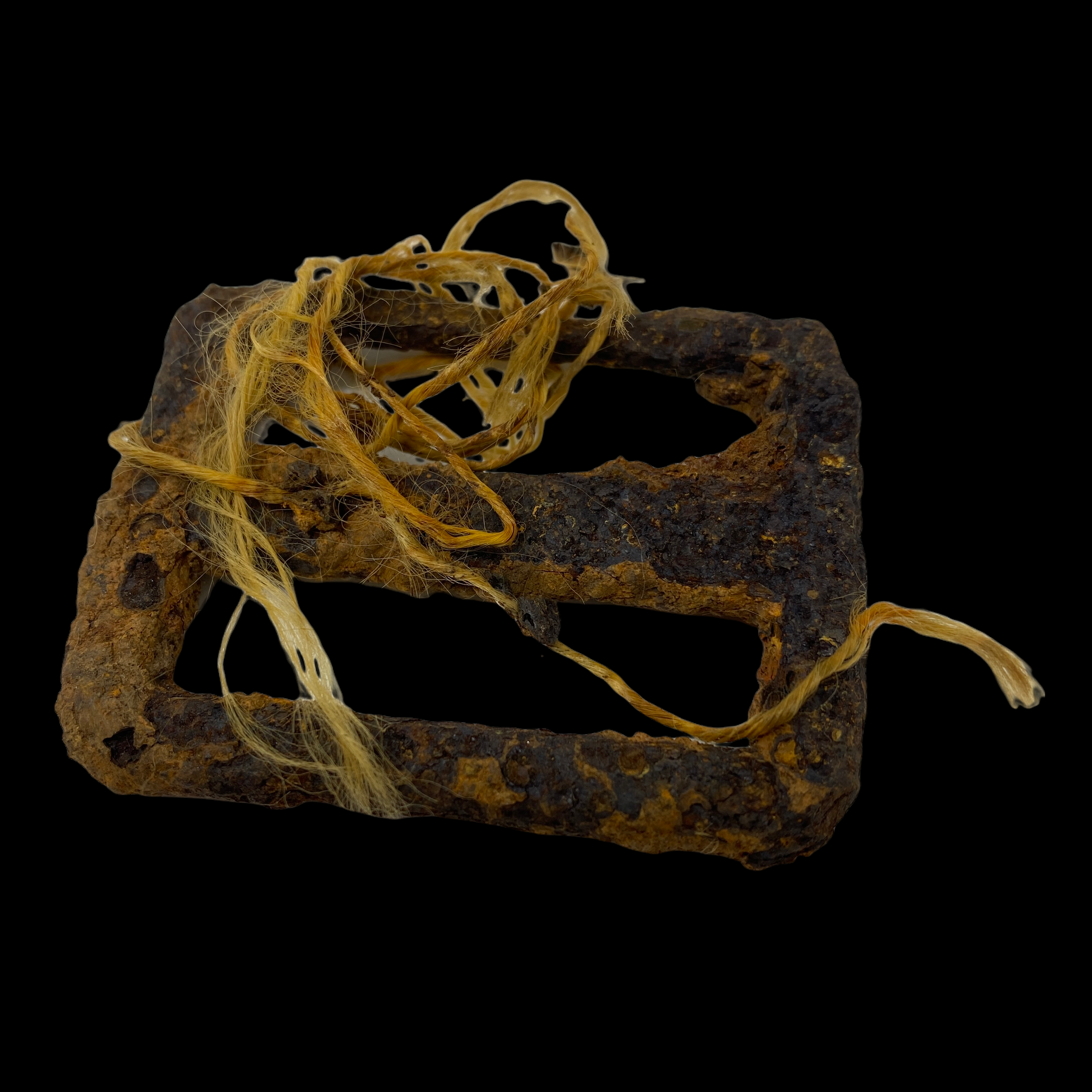 PhotoRoom_20220113_193802 2.PNG