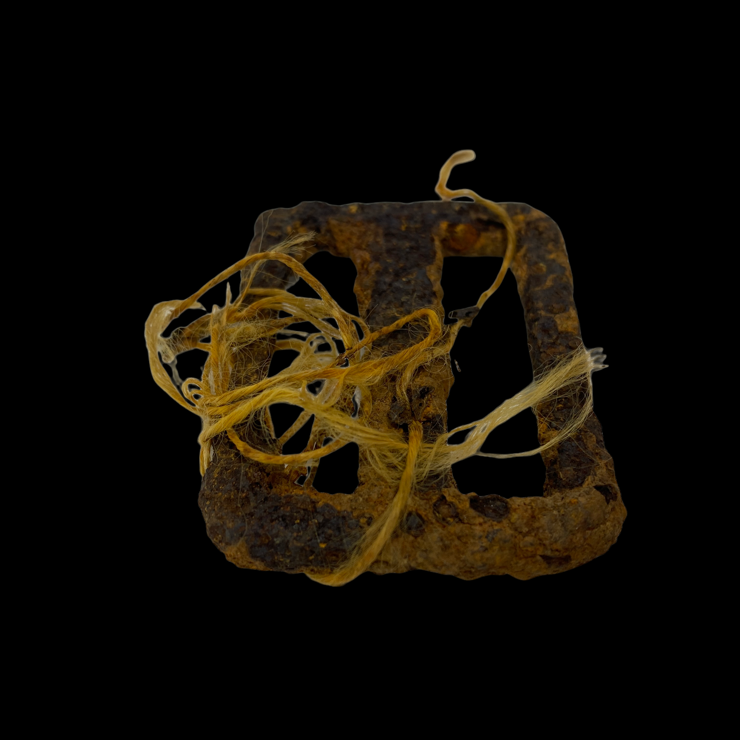 PhotoRoom_20220113_193804 2.PNG