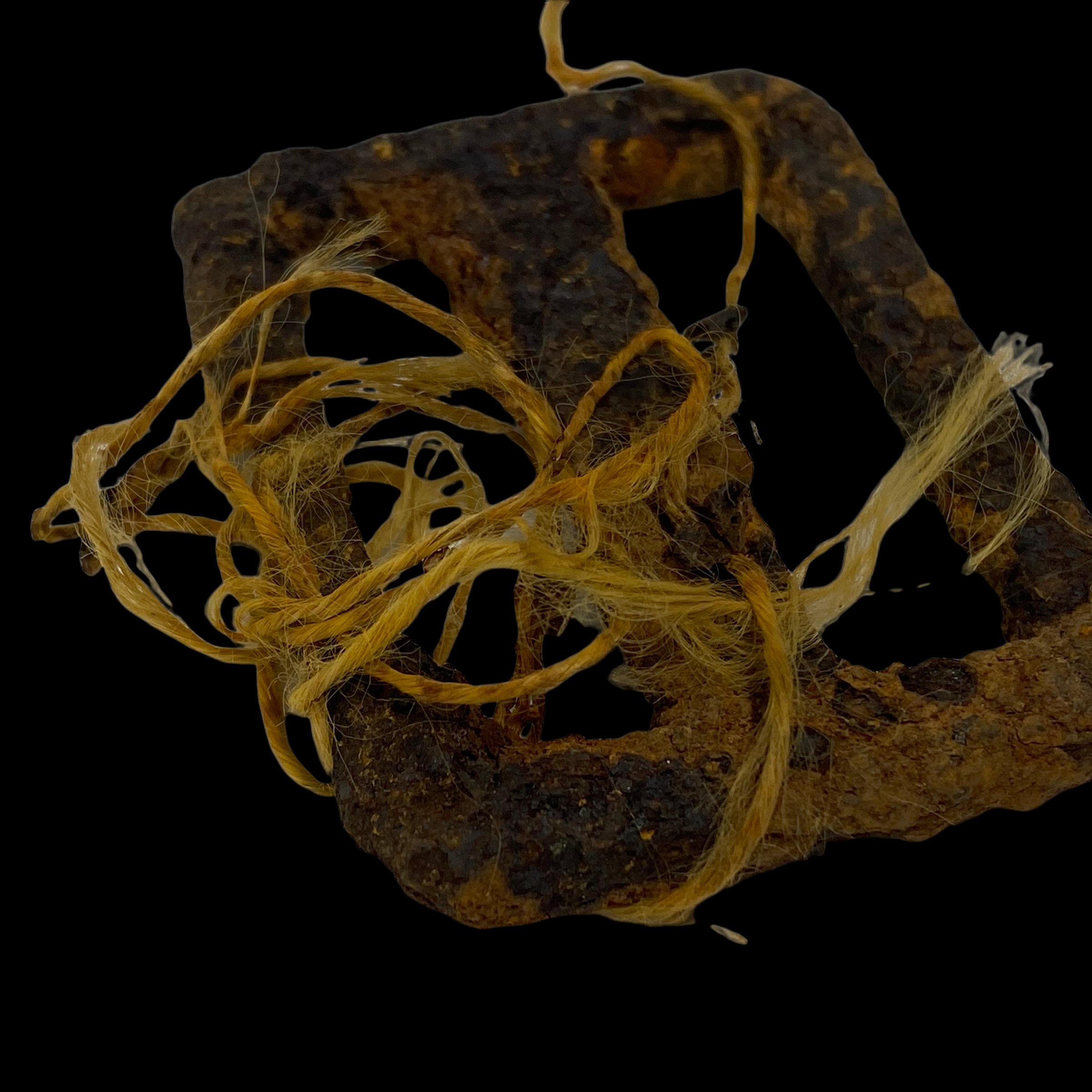 PhotoRoom_20220113_193806 2.PNG