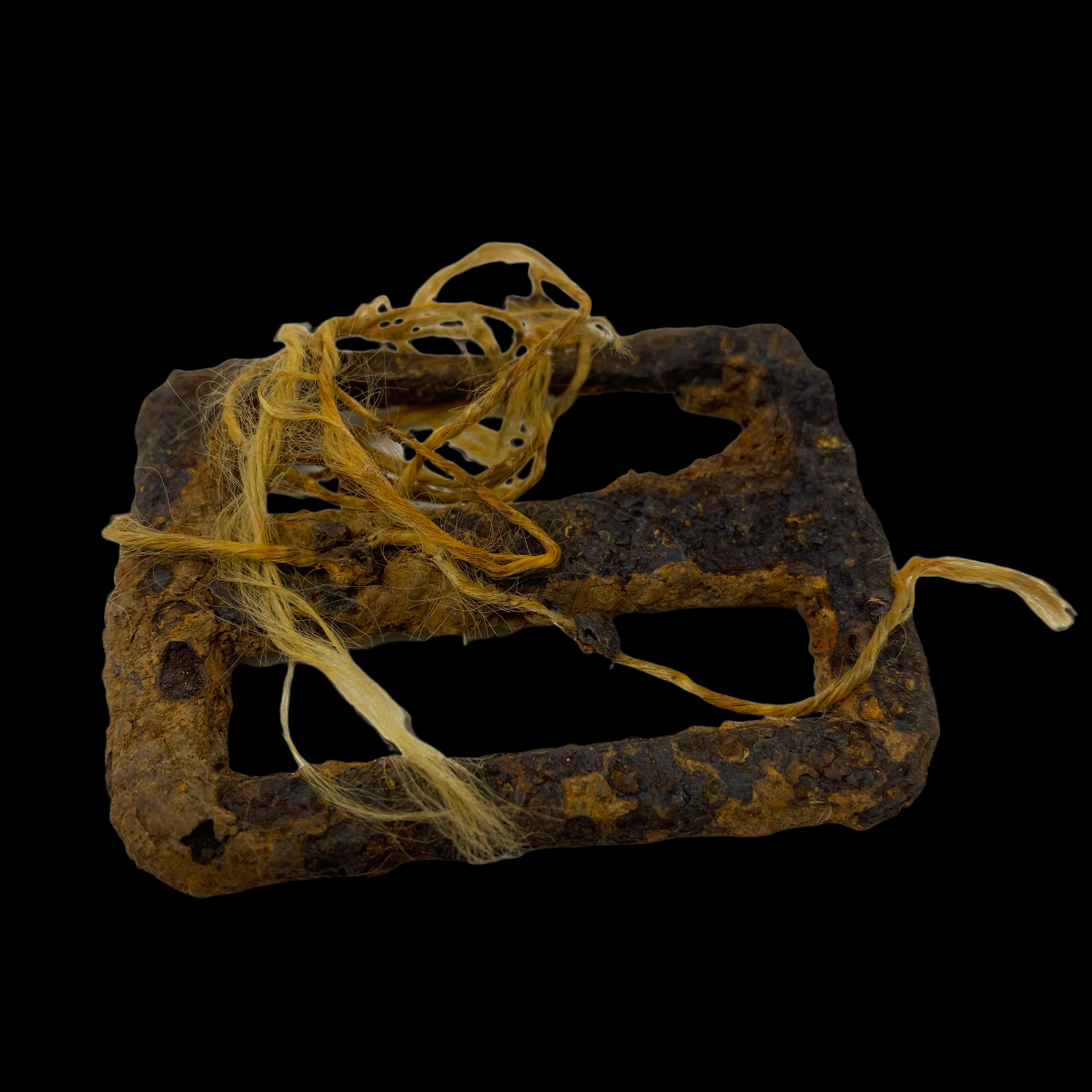 PhotoRoom_20220113_193810 2.PNG