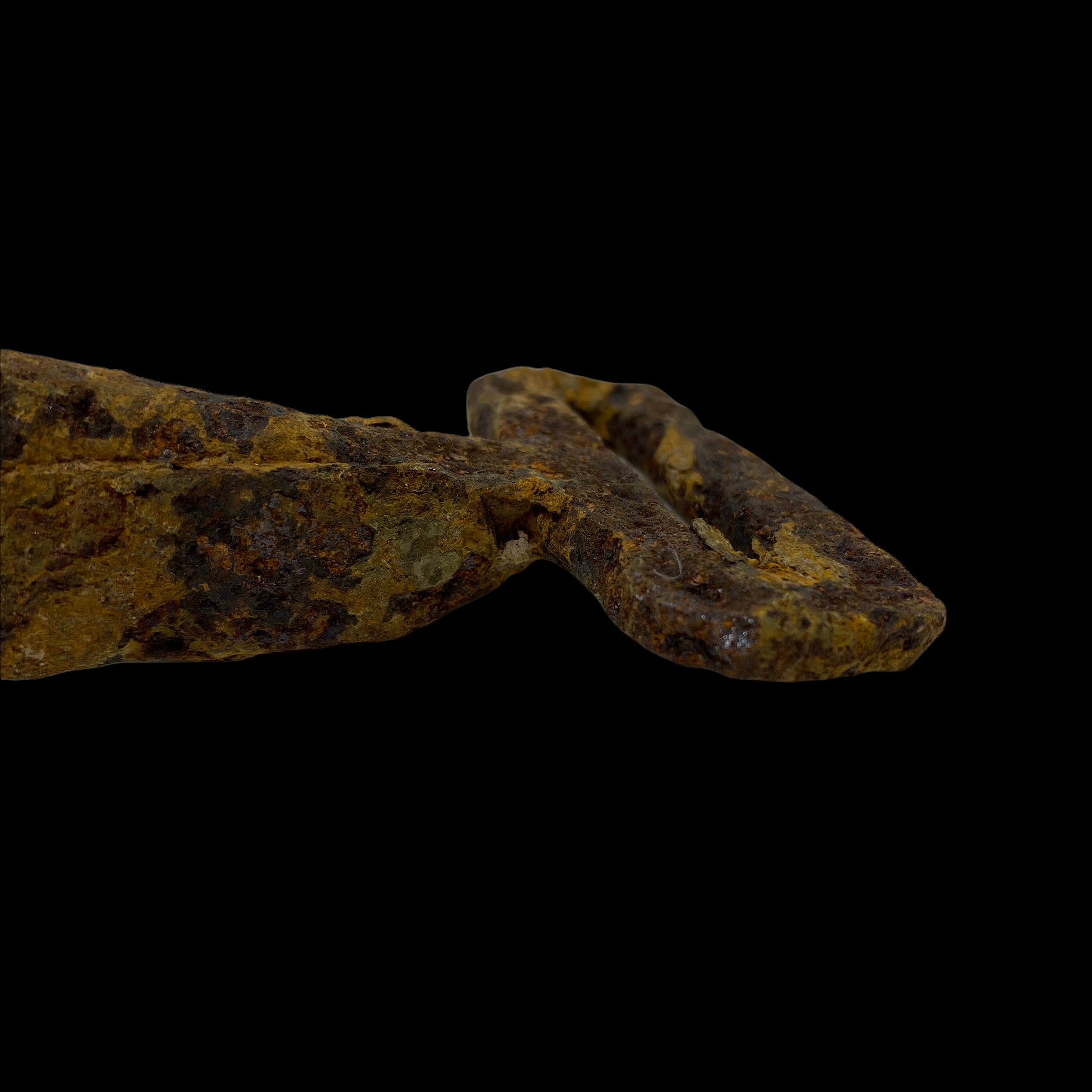 PhotoRoom_005_20220118_164756.PNG