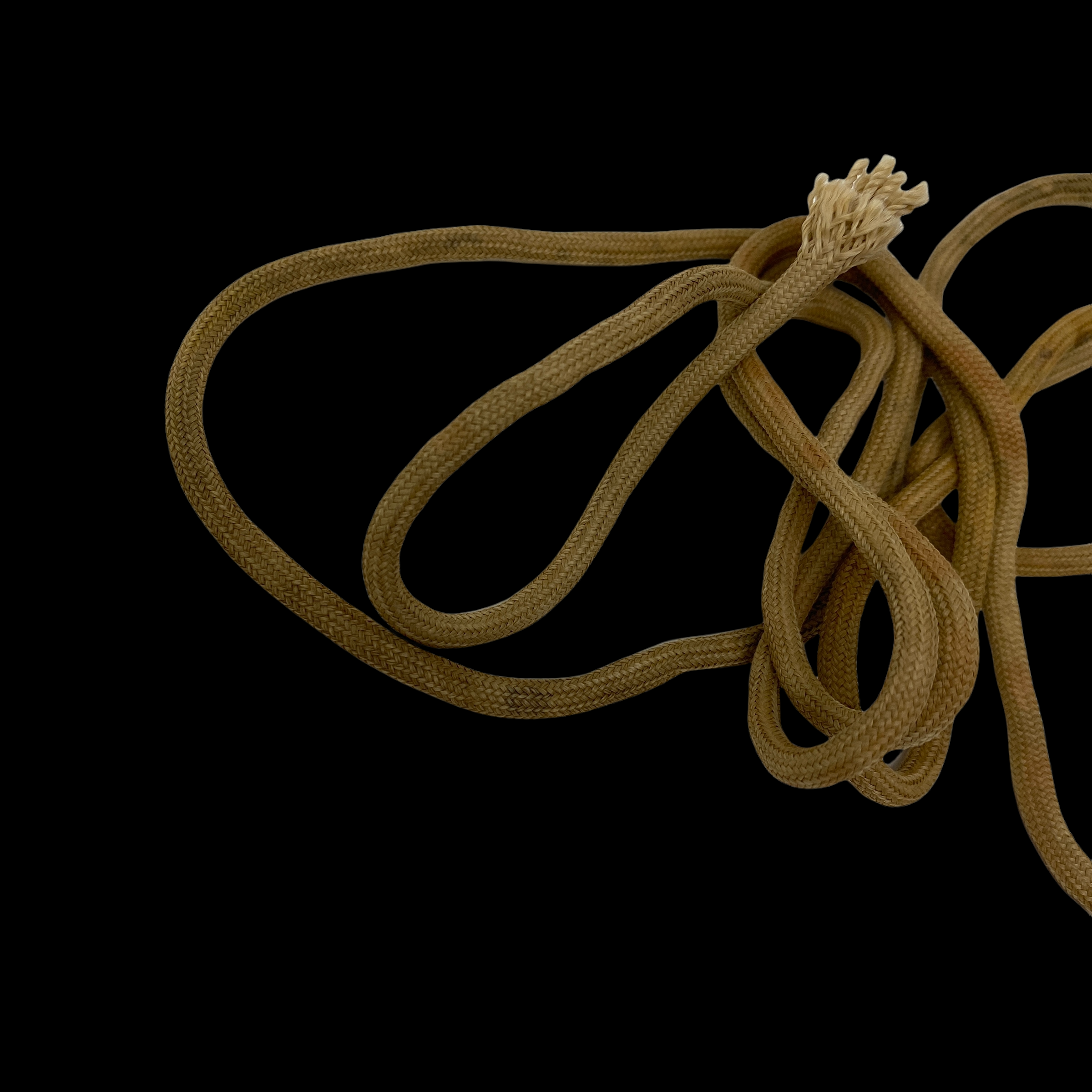 PhotoRoom_009_20220118_164756.PNG