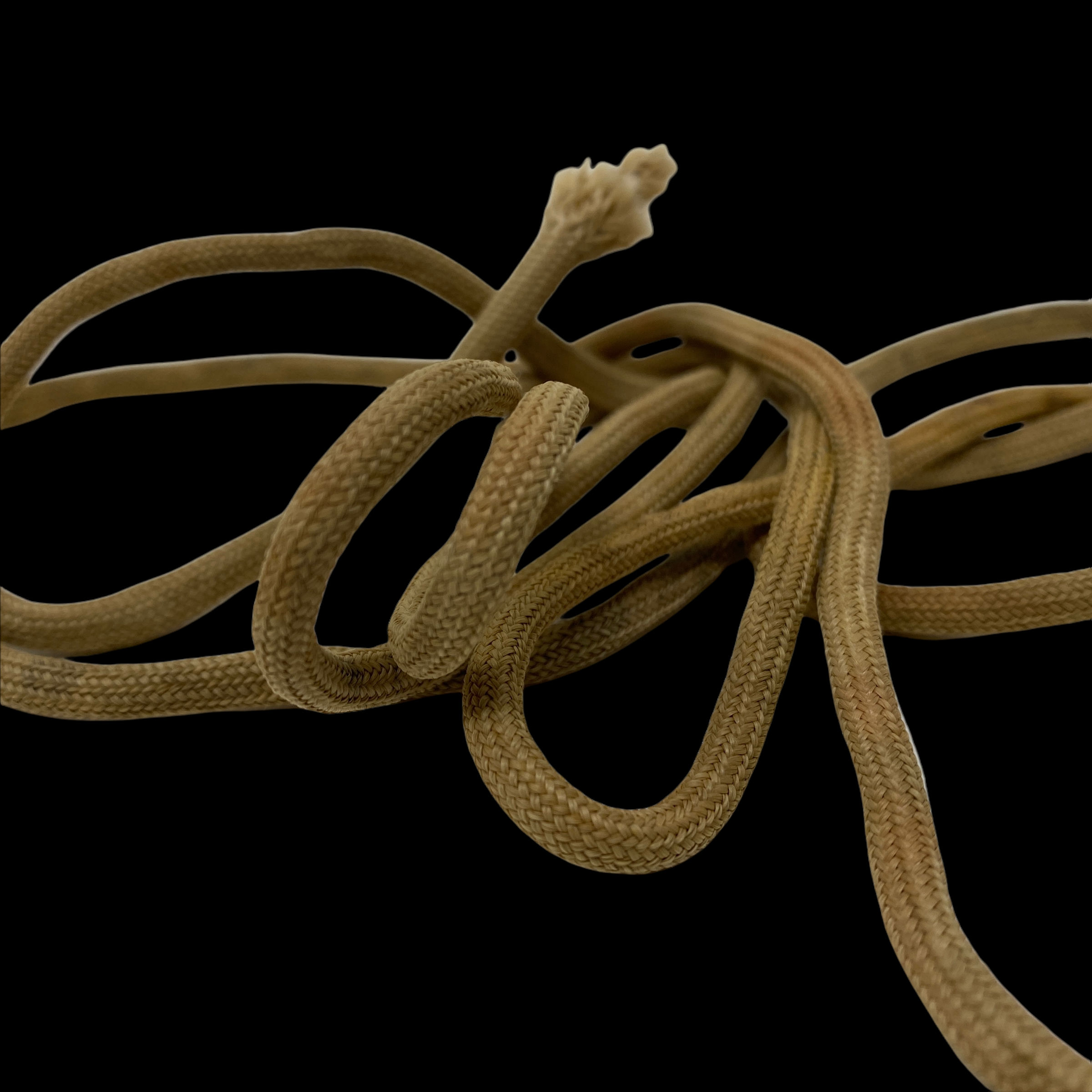 PhotoRoom_013_20220118_164756.PNG