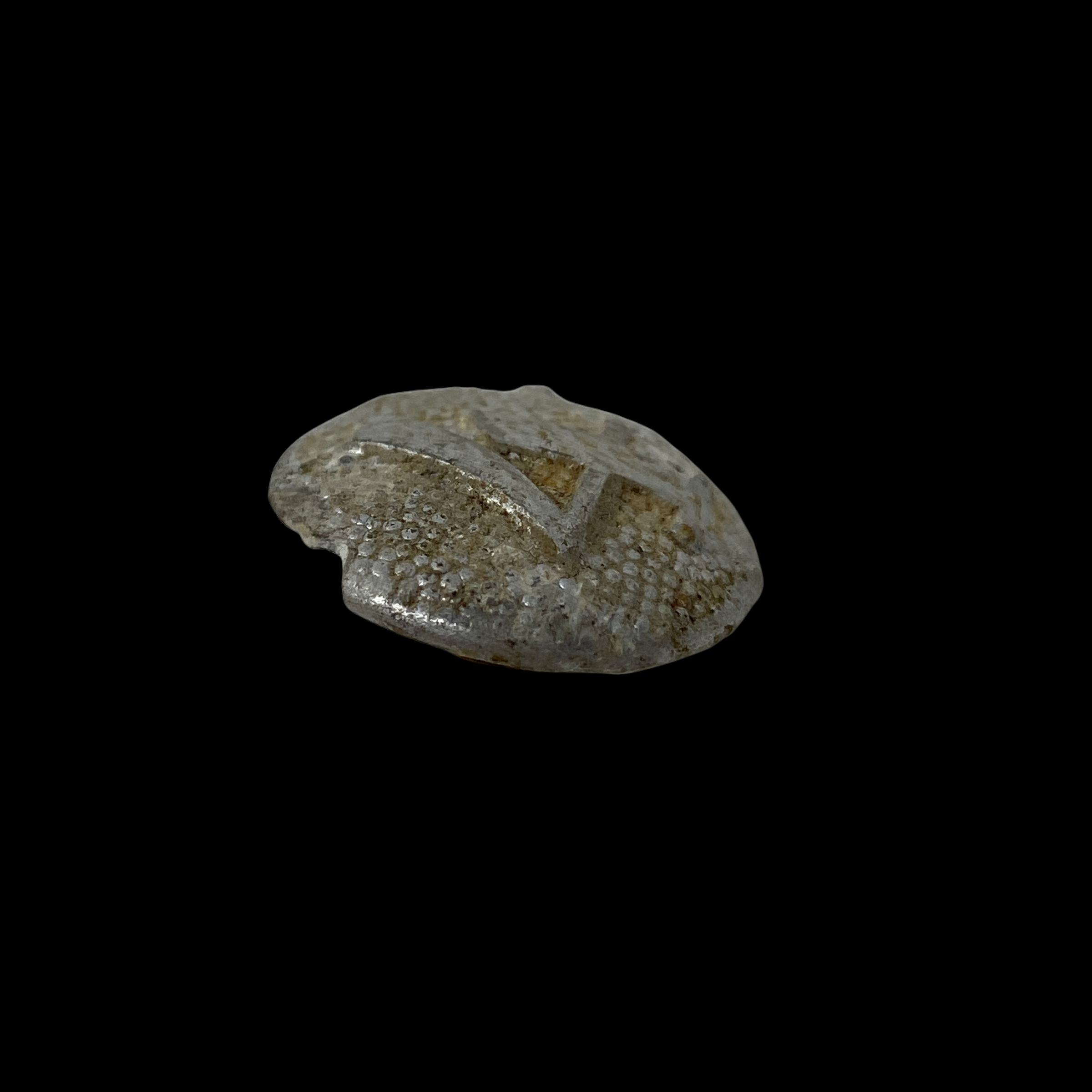 PhotoRoom_023_20220118_164757.PNG