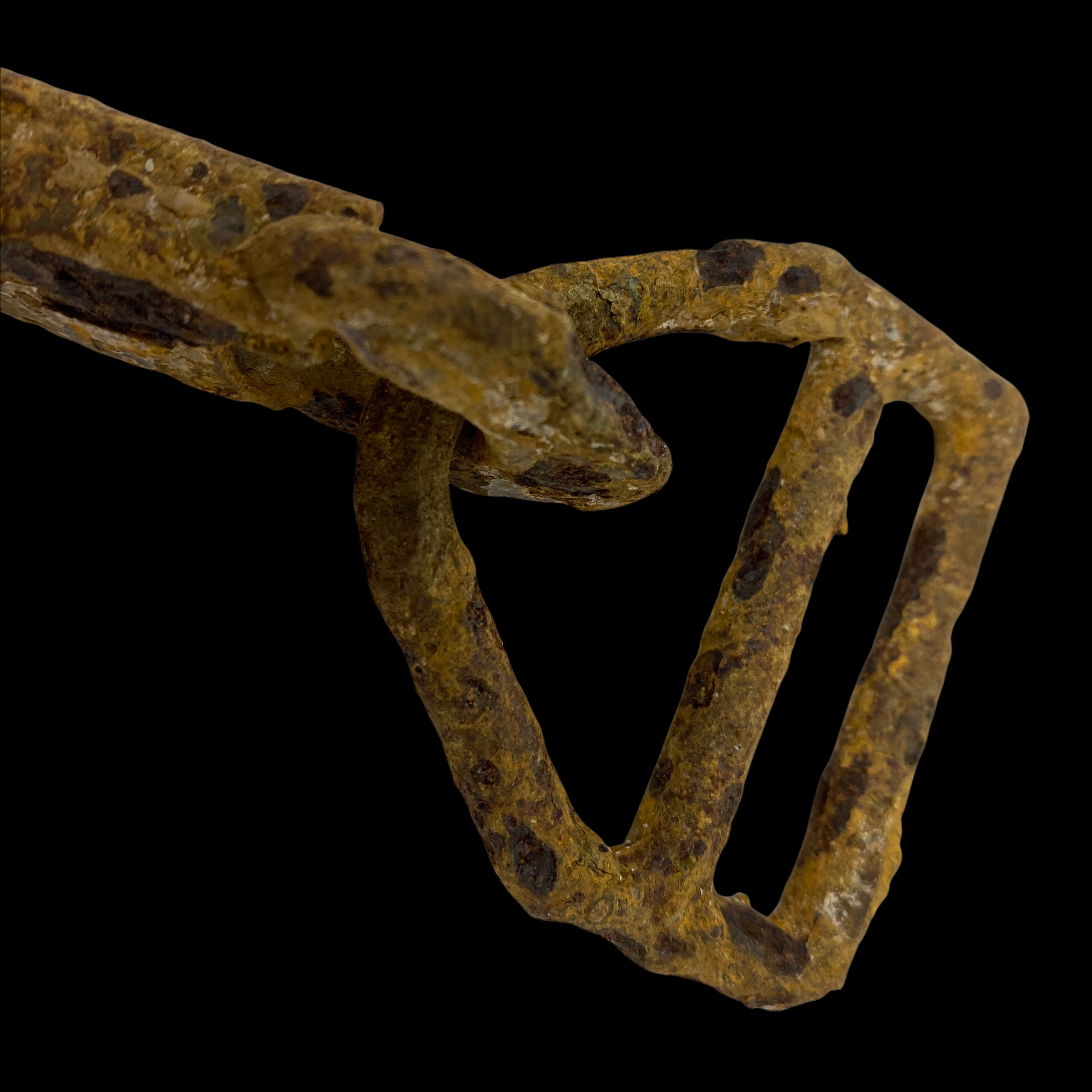 PhotoRoom_034_20220118_164757.PNG