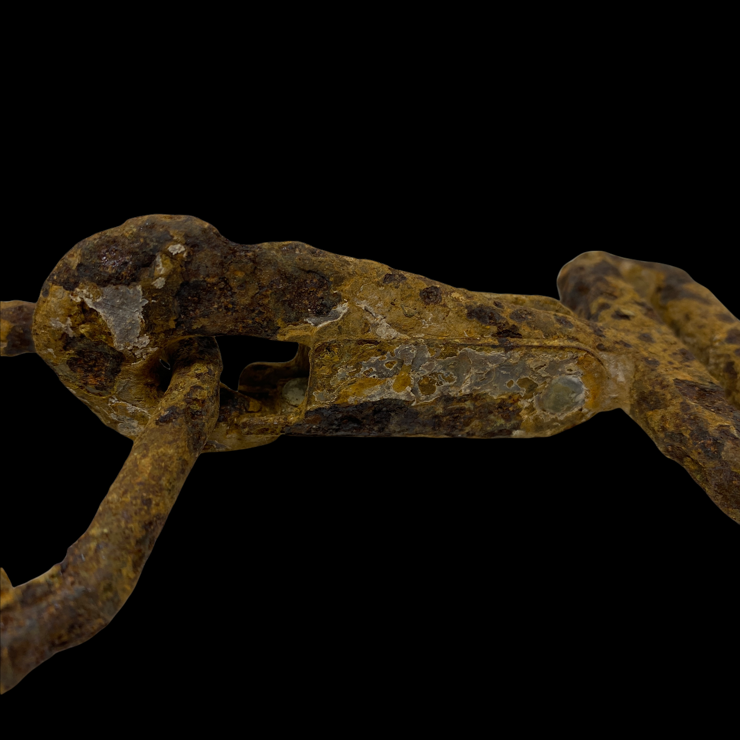 PhotoRoom_038_20220118_164757.PNG