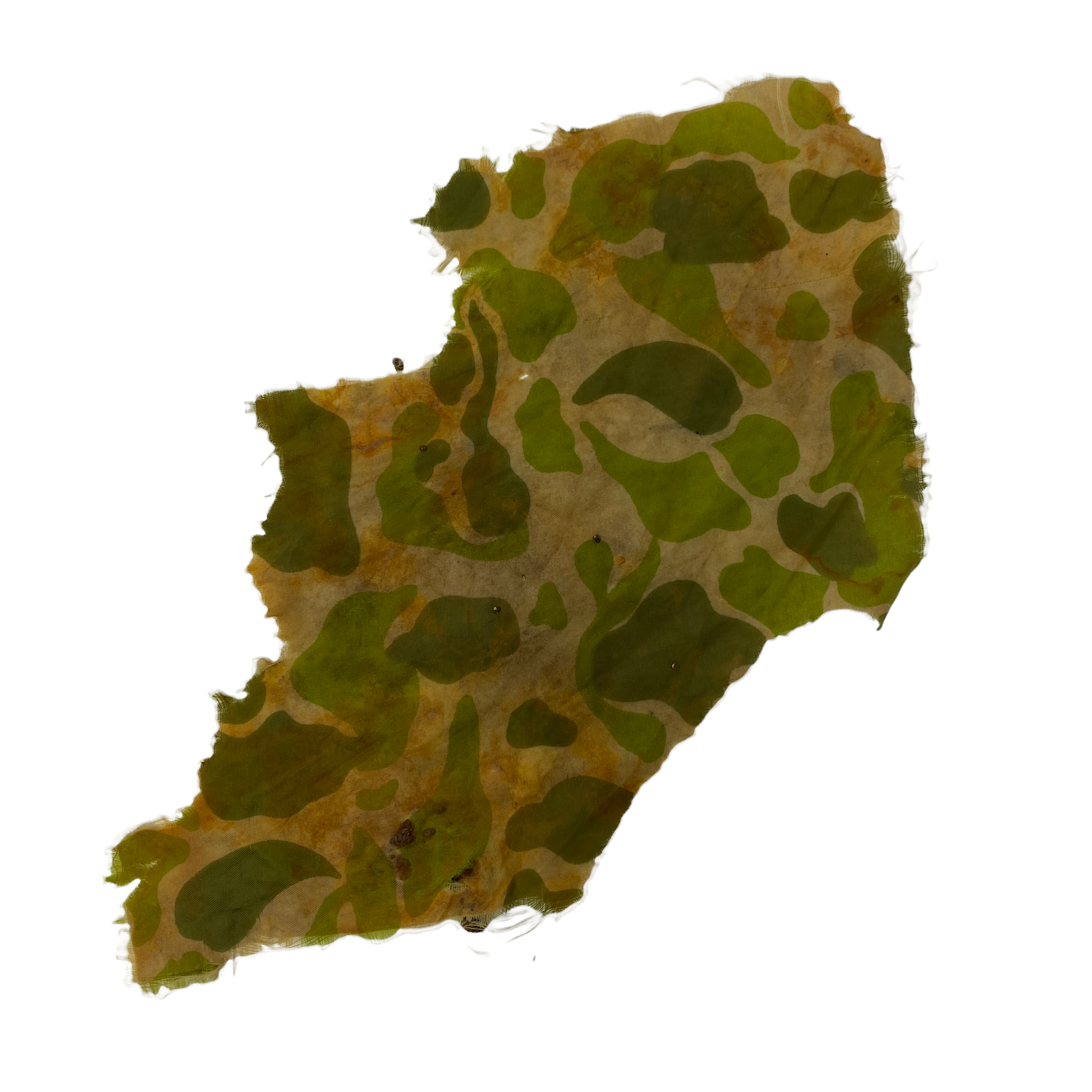 PhotoRoom_009_20220118_172049.PNG