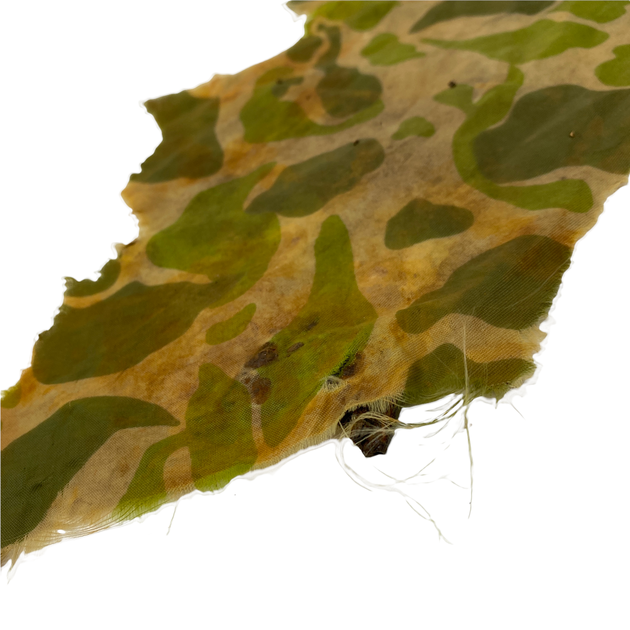 PhotoRoom_005_20220118_172049.PNG