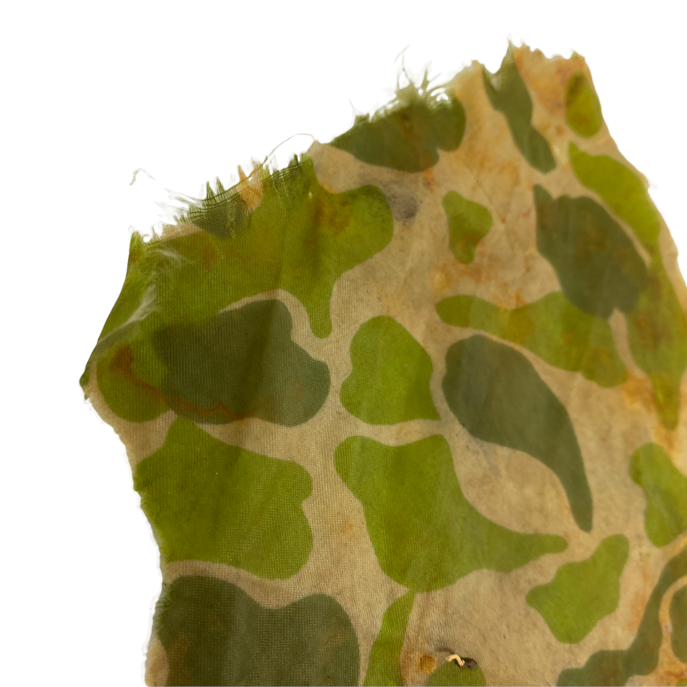PhotoRoom_000_20220118_172049.PNG