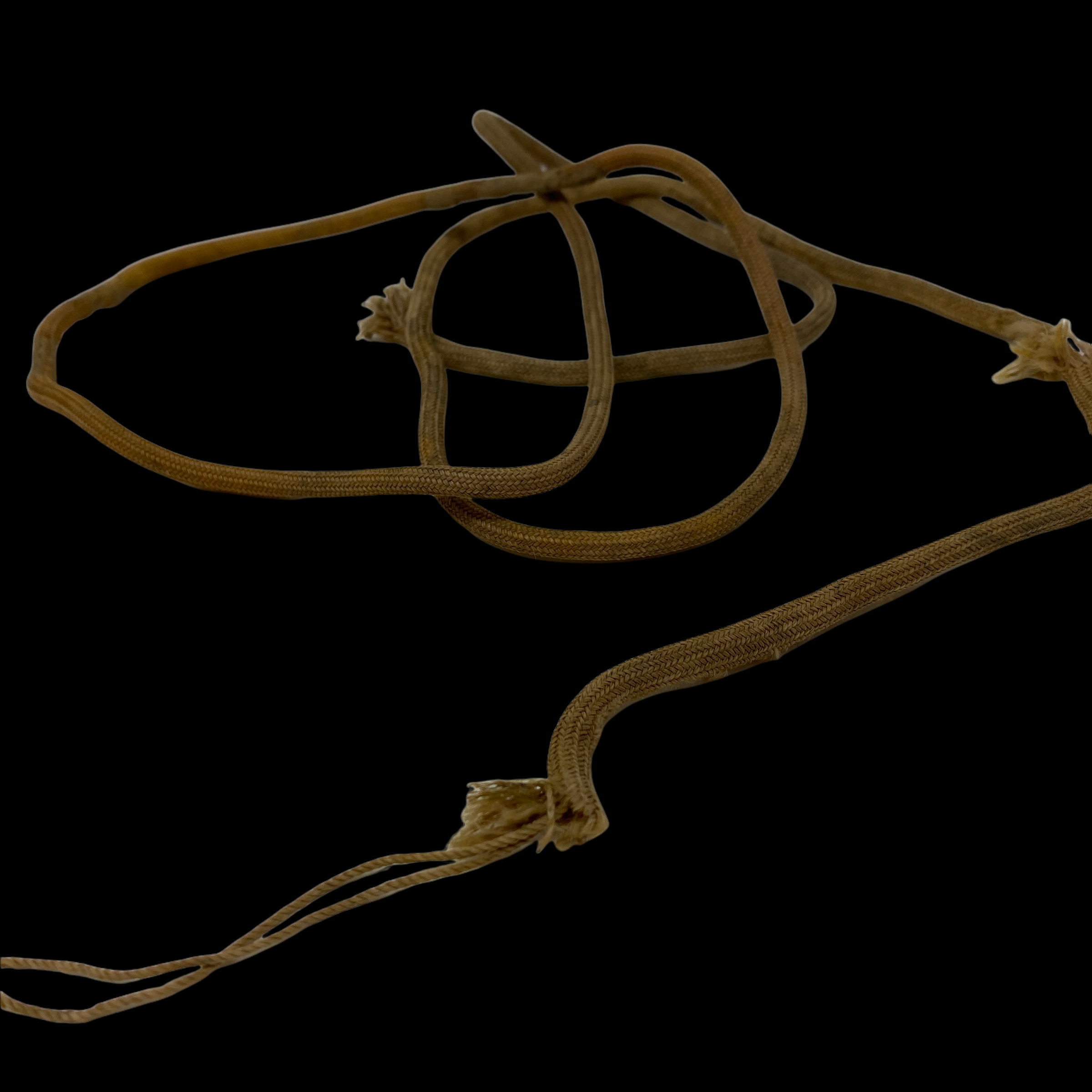 PhotoRoom_026_20220119_101644.PNG