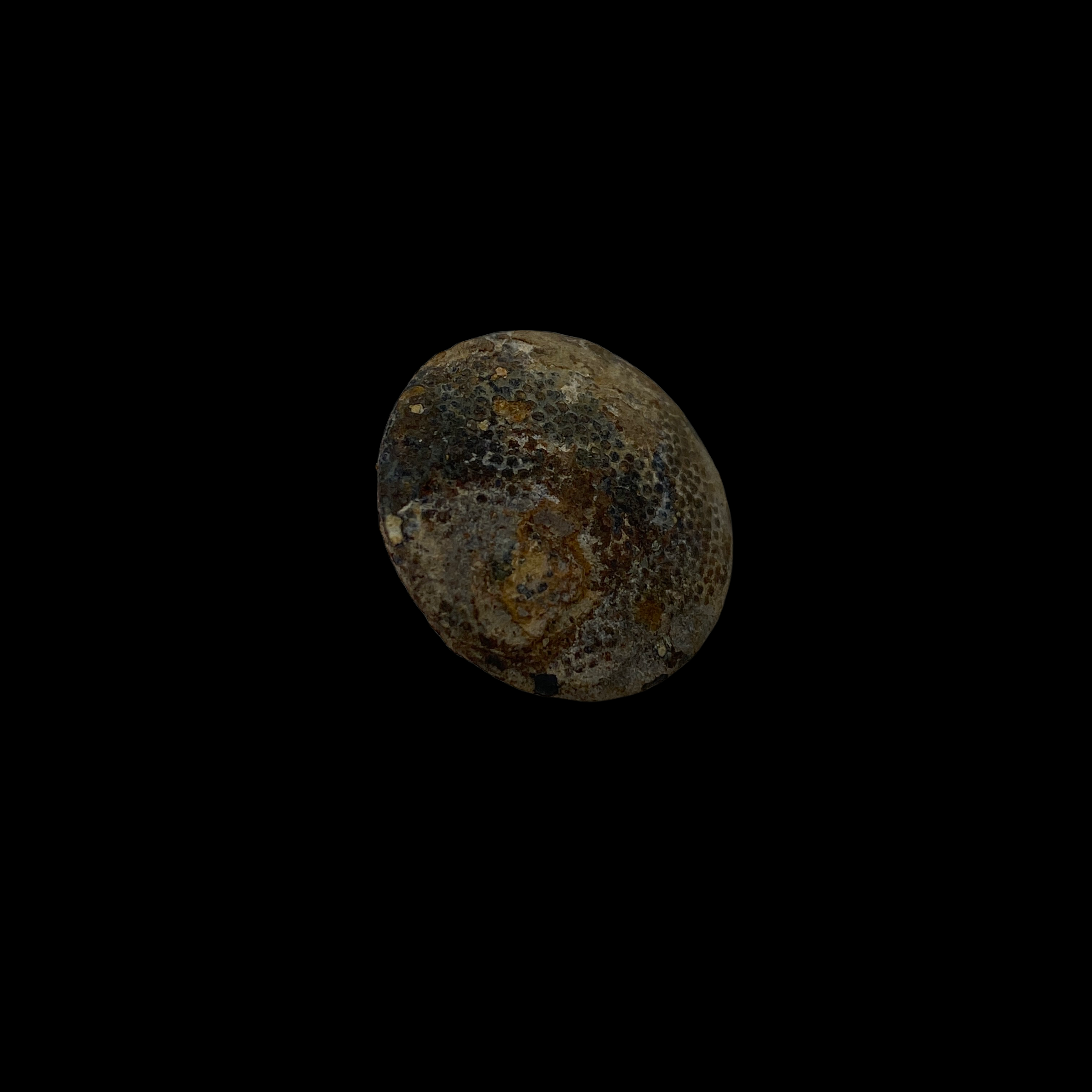 PhotoRoom_007_20220119_101806.PNG