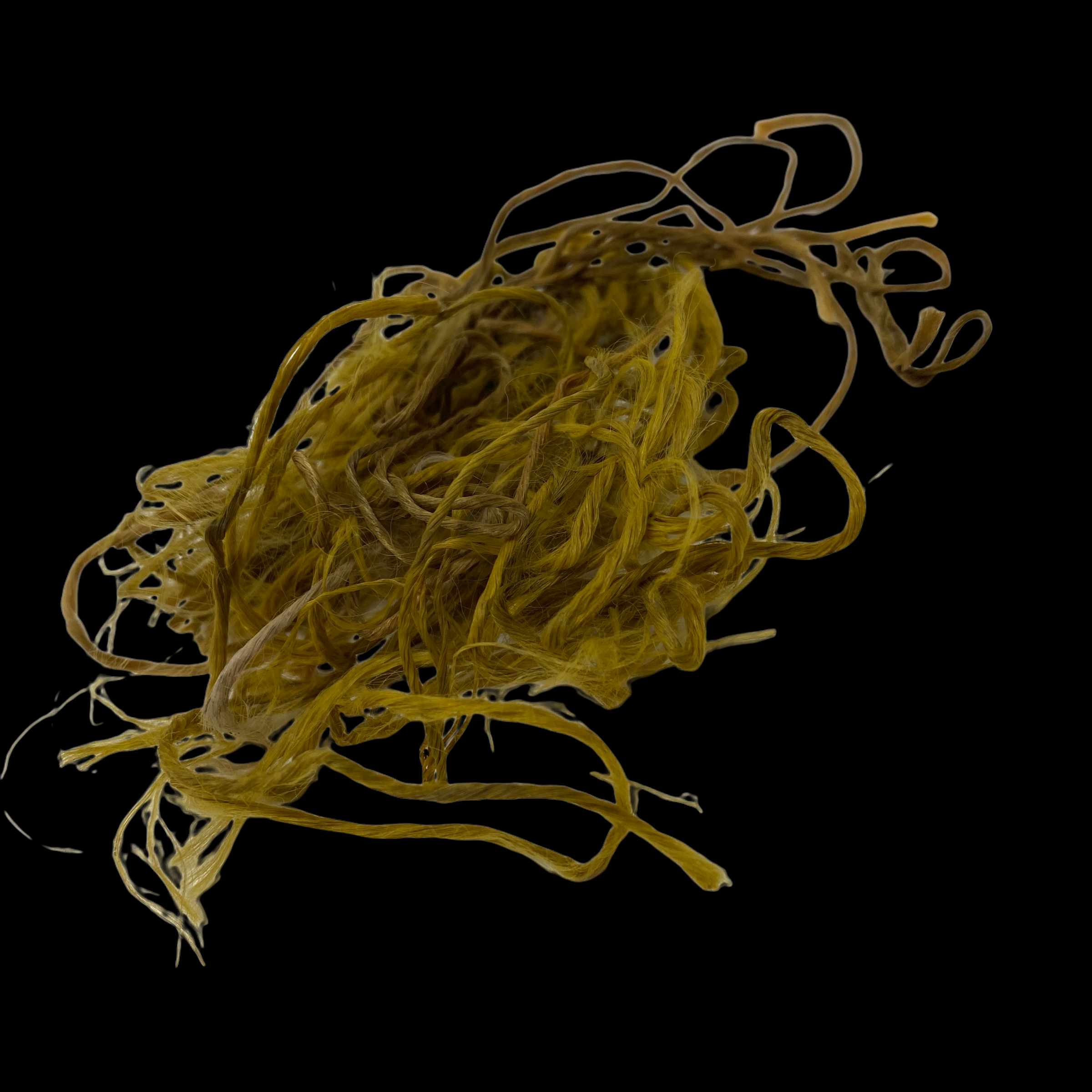 PhotoRoom_030_20220119_101807.PNG