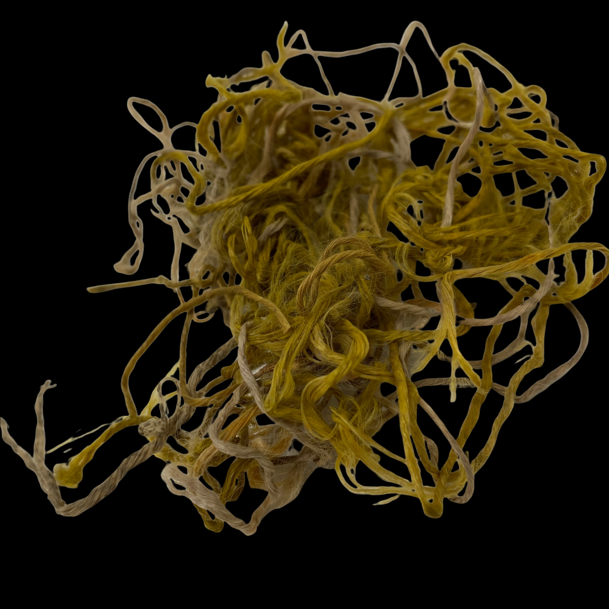 PhotoRoom_000_20220119_131058.PNG