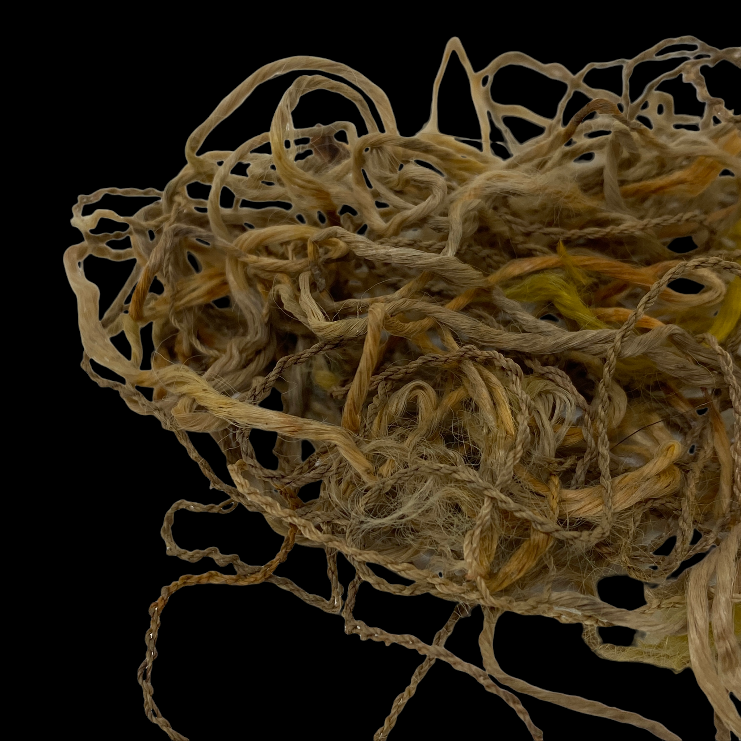PhotoRoom_002_20220119_165835.PNG