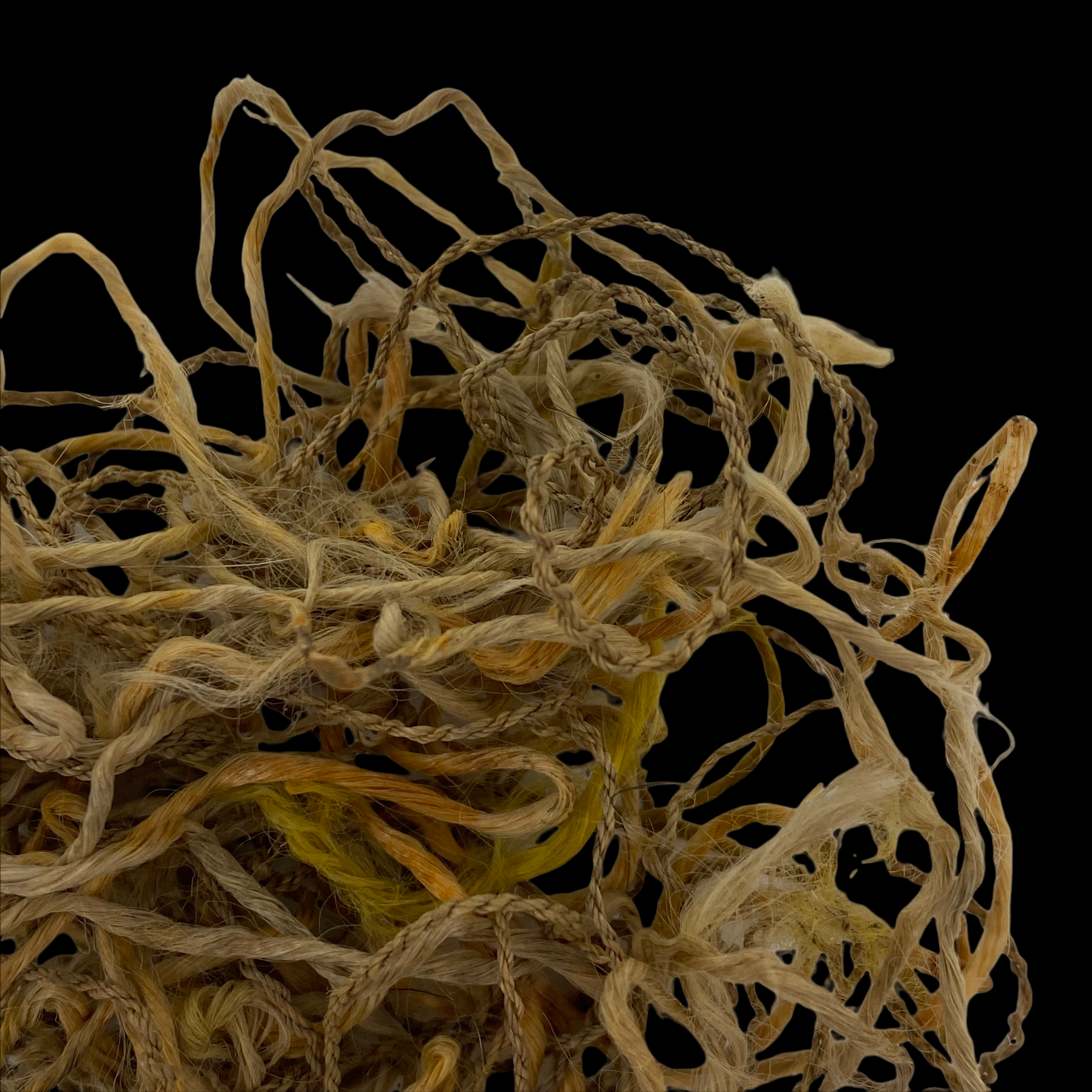 PhotoRoom_004_20220119_165835.PNG