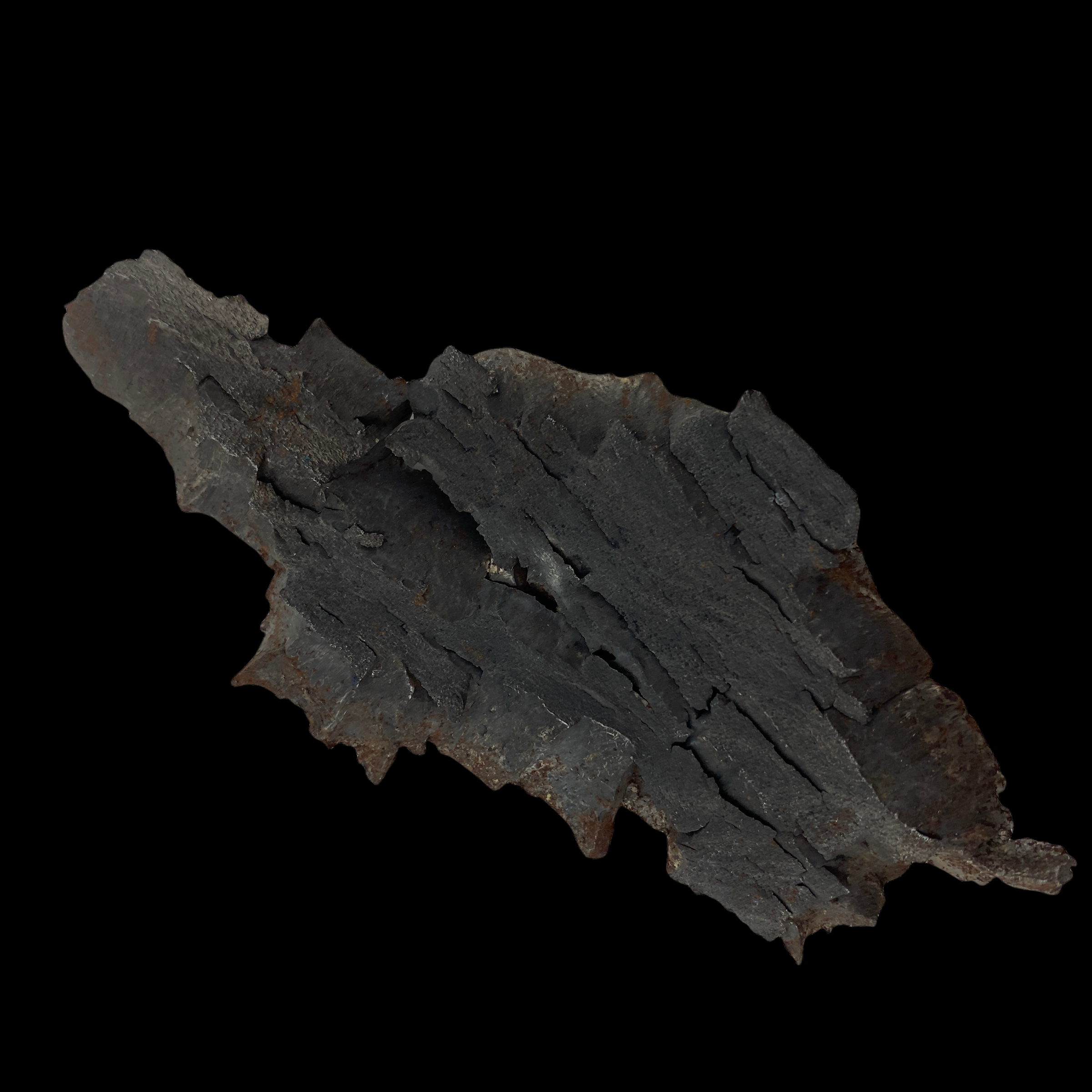 PhotoRoom_003_20220302_125641.PNG