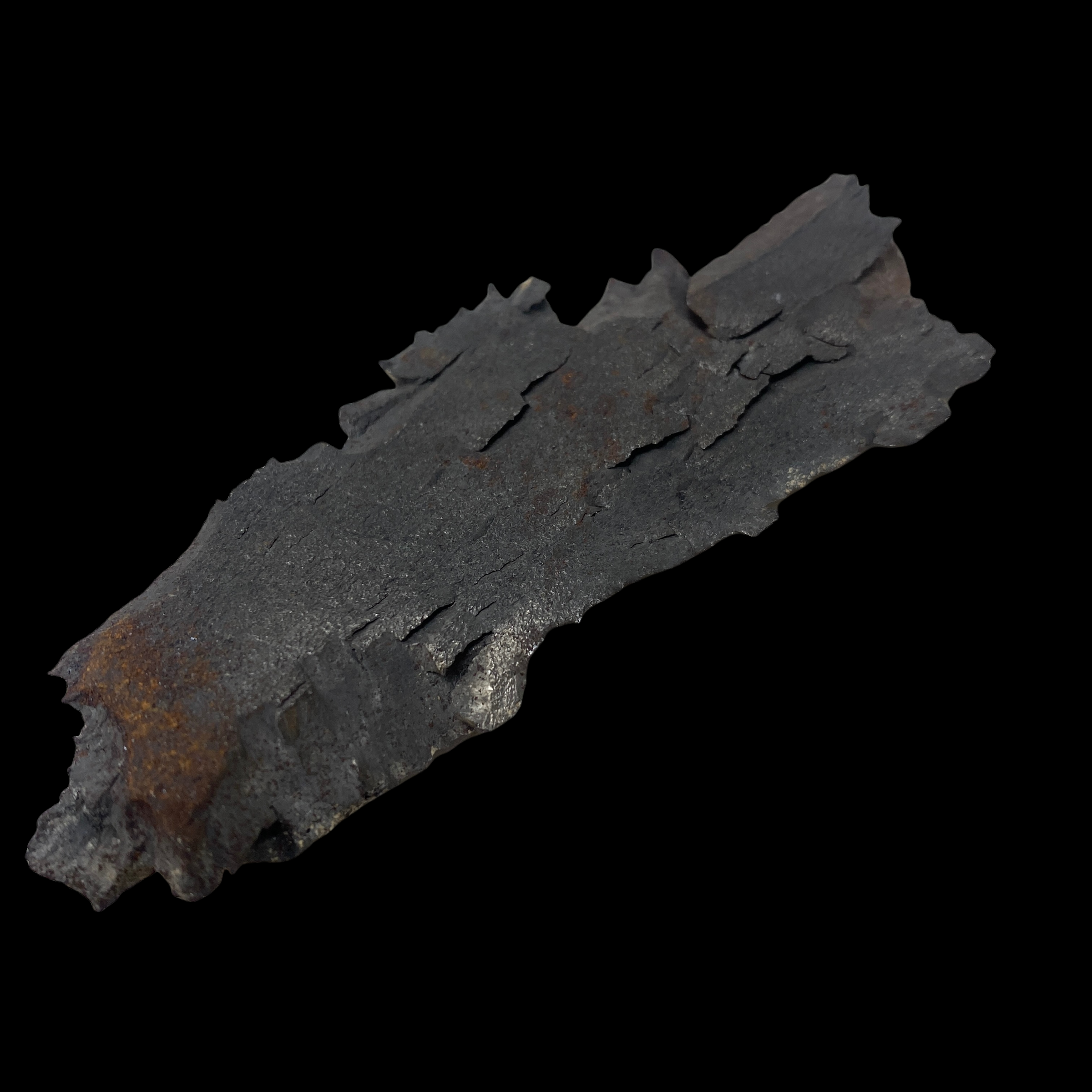 PhotoRoom_006_20220303_124235.PNG