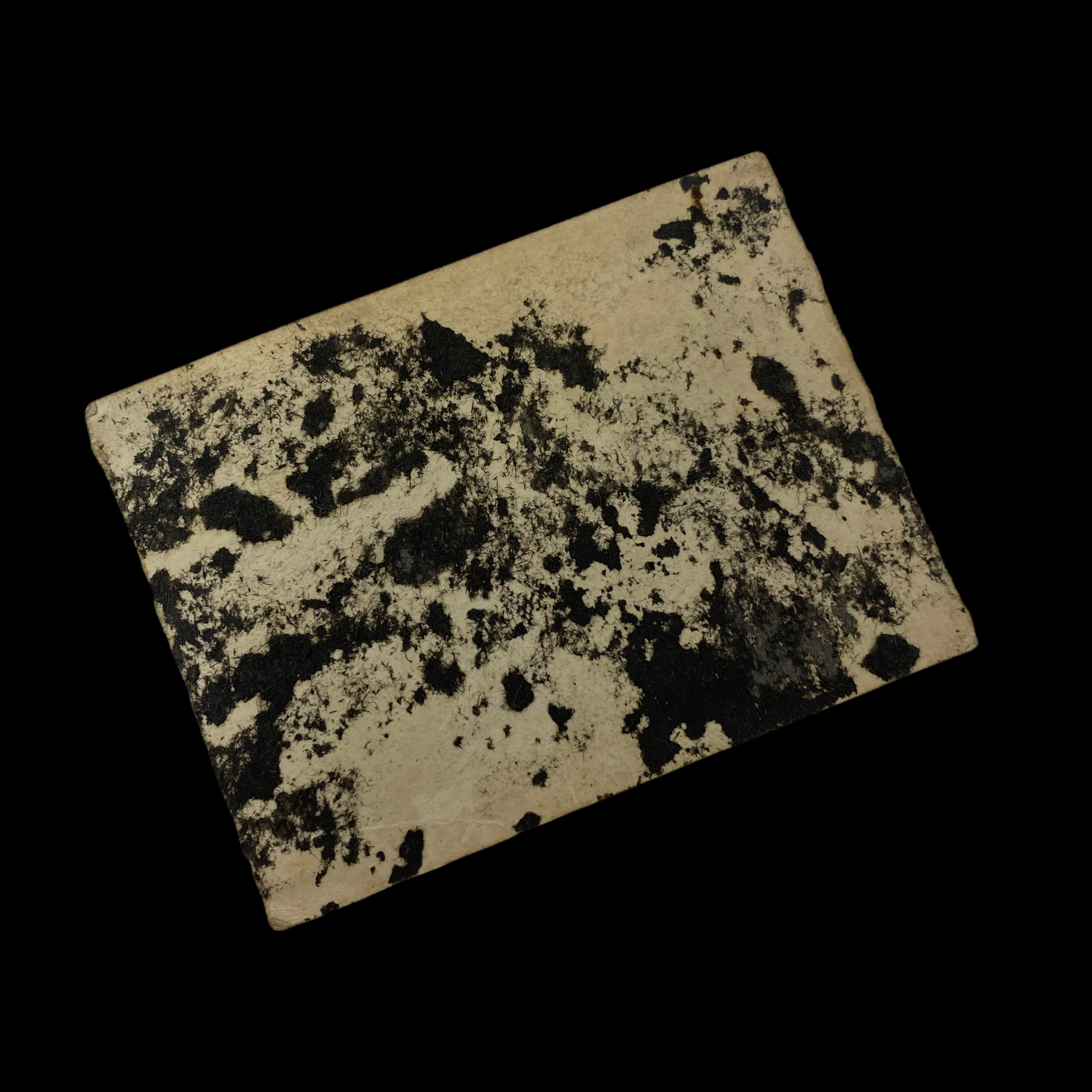 PhotoRoom_015_20220323_215601.PNG