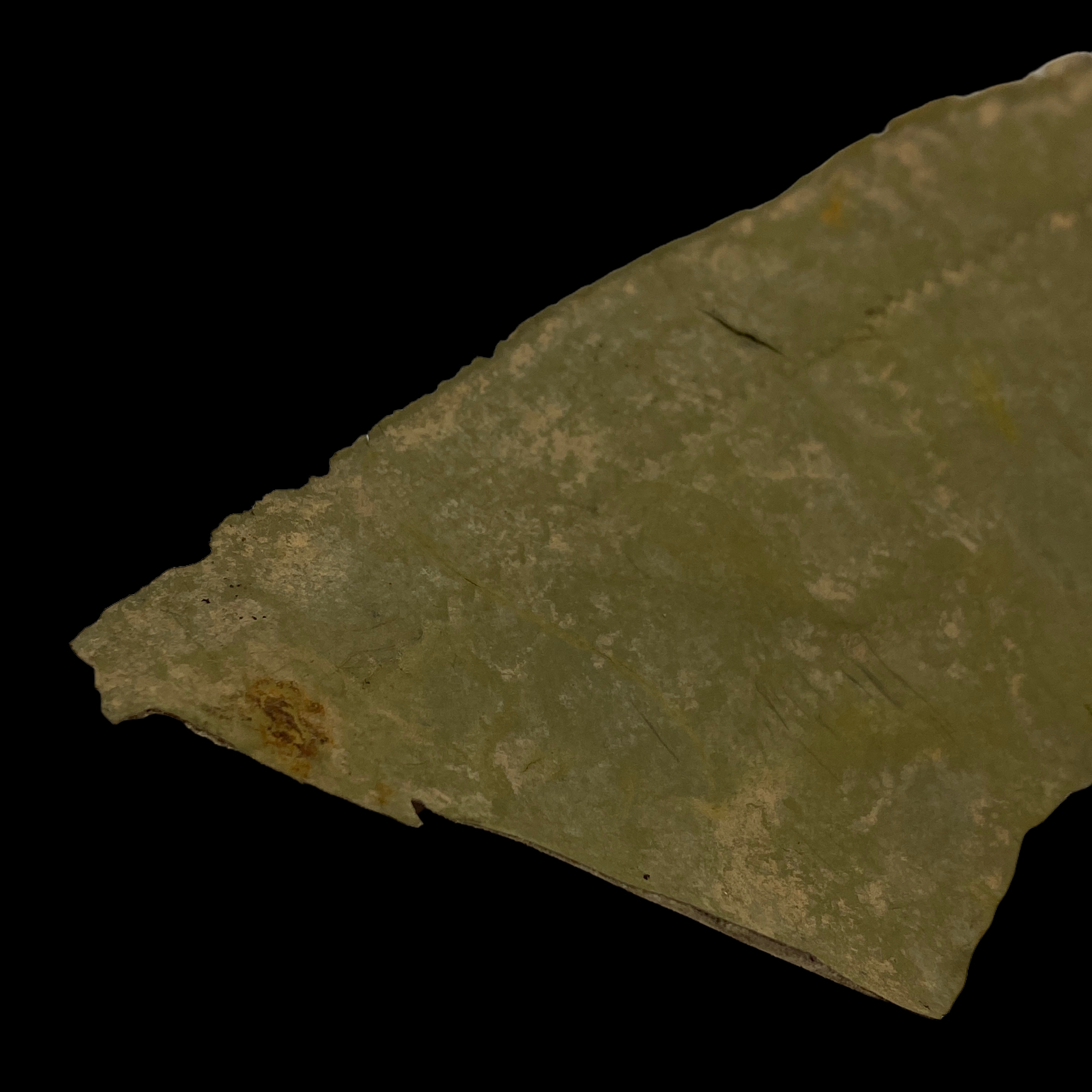 PhotoRoom_053_20220512_002635.PNG