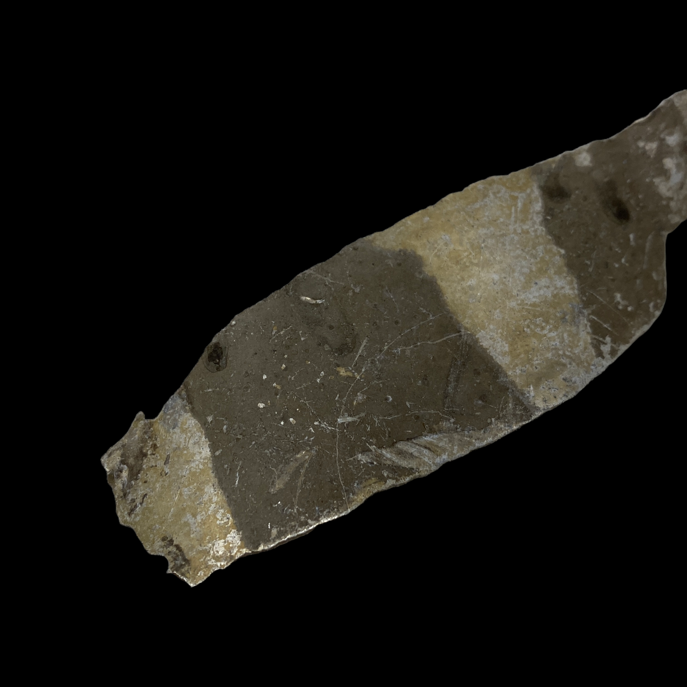 PhotoRoom_011_20220512_002914.PNG
