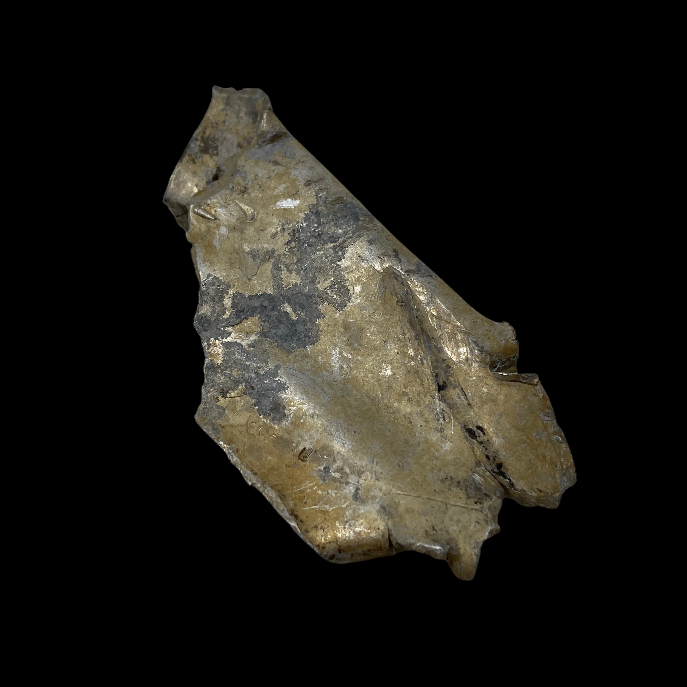 PhotoRoom_016_20220513_095431.PNG
